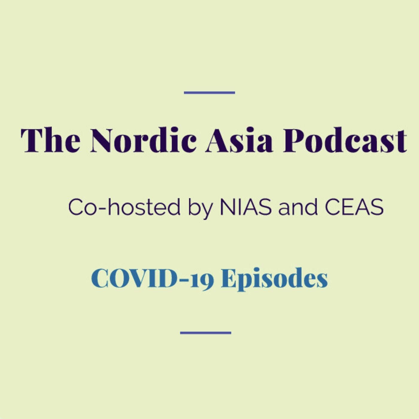 Migrant labour and care with Megha Amrith episode artwork