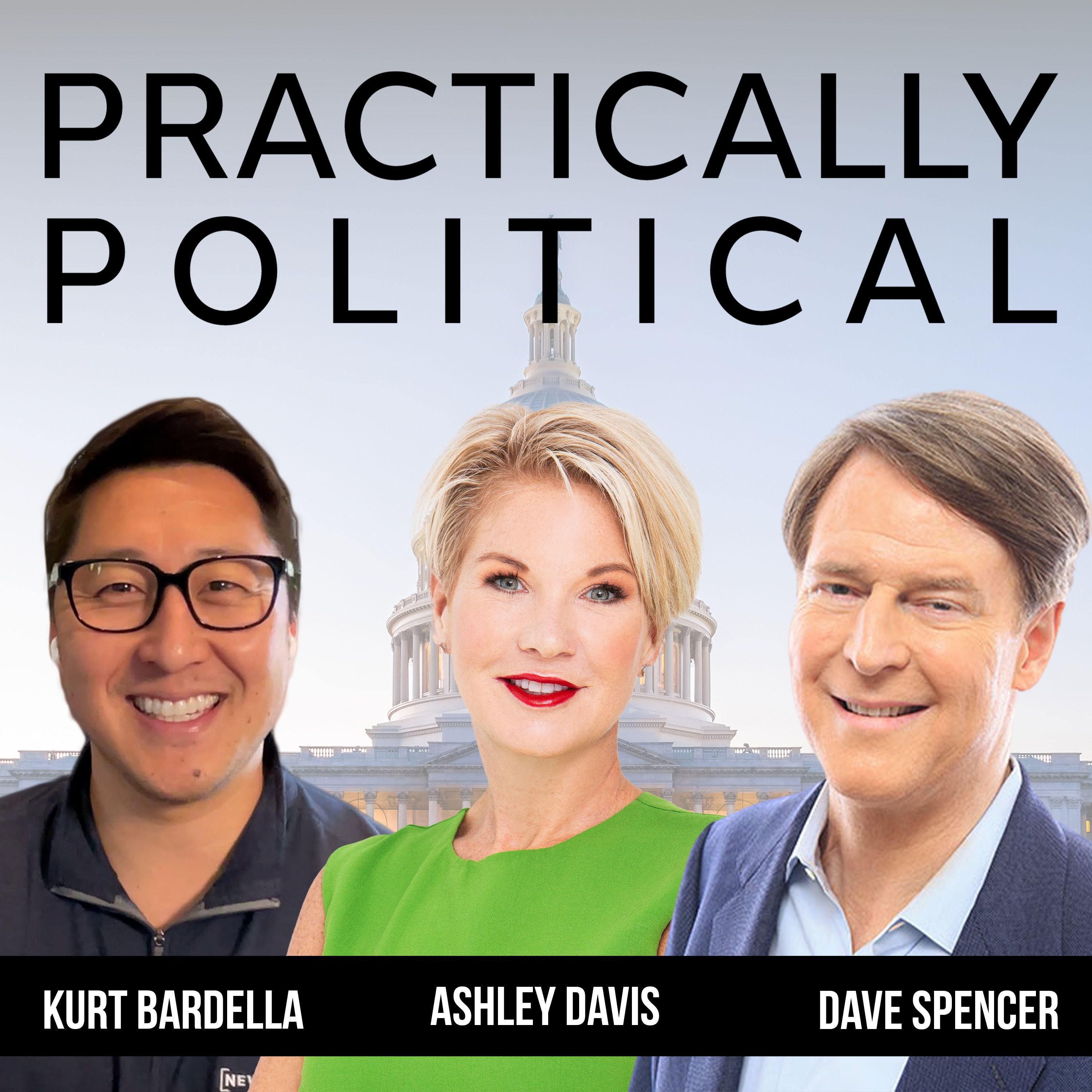 Practically Political