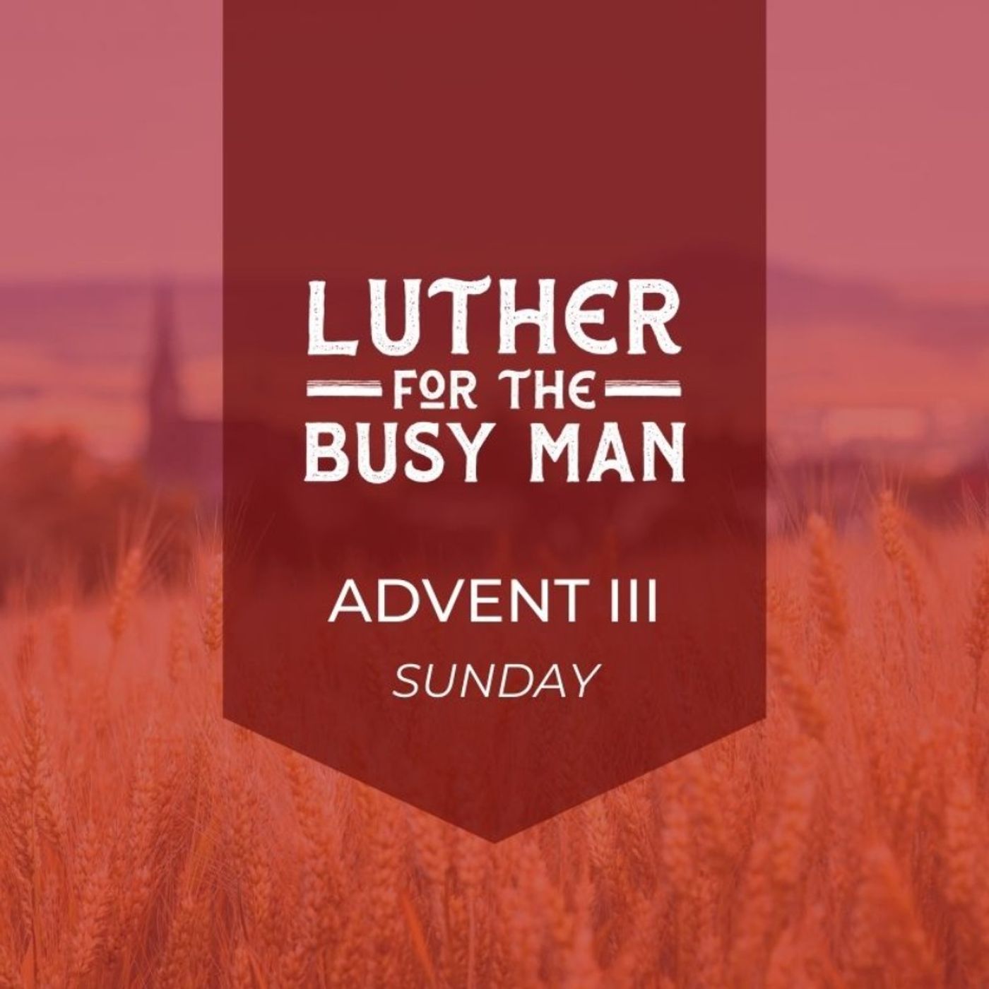 Advent III - Sunday