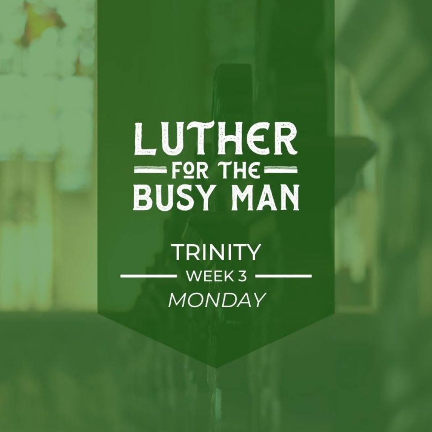 Week of Trinity III - Monday