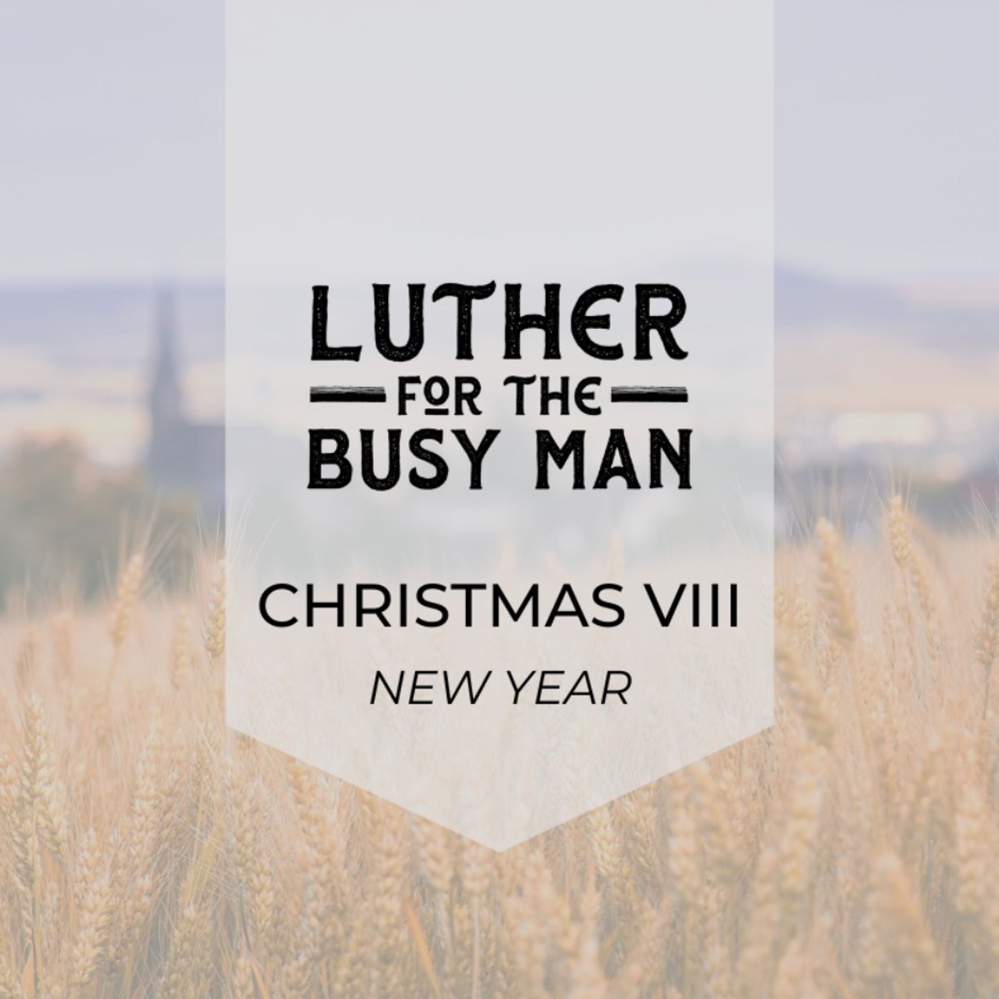 Eighth Day of Christmas - New Year