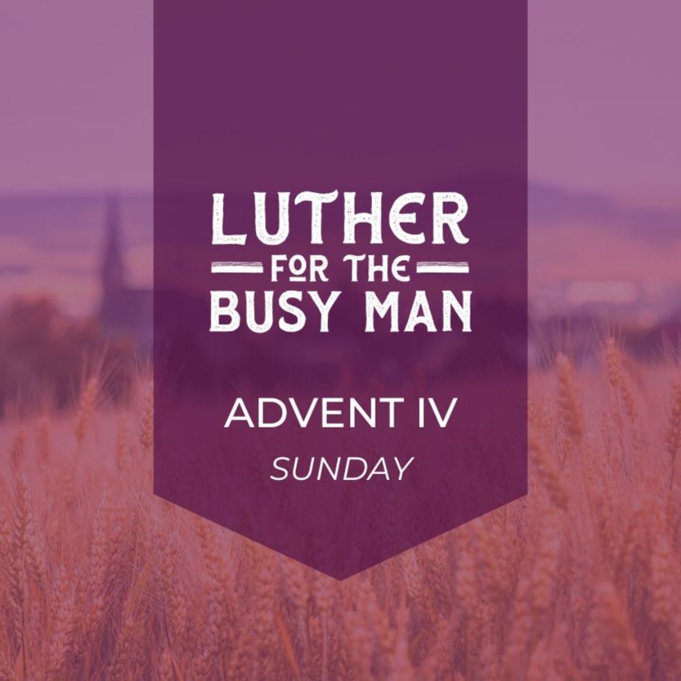 Advent IV - Sunday