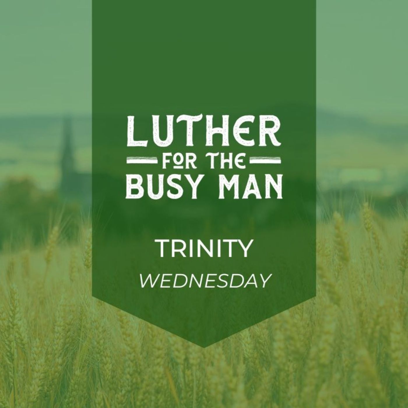 Luther for the Busy Man