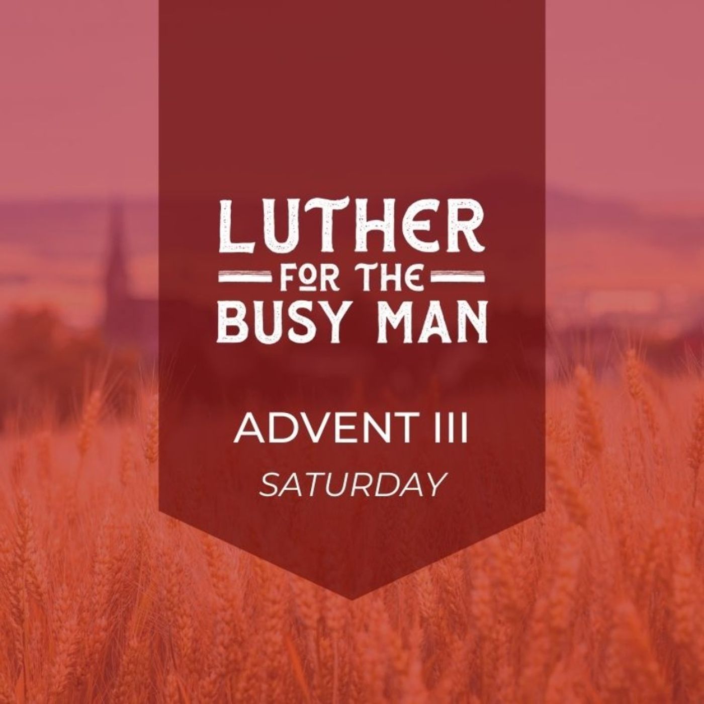 Advent III - Saturday