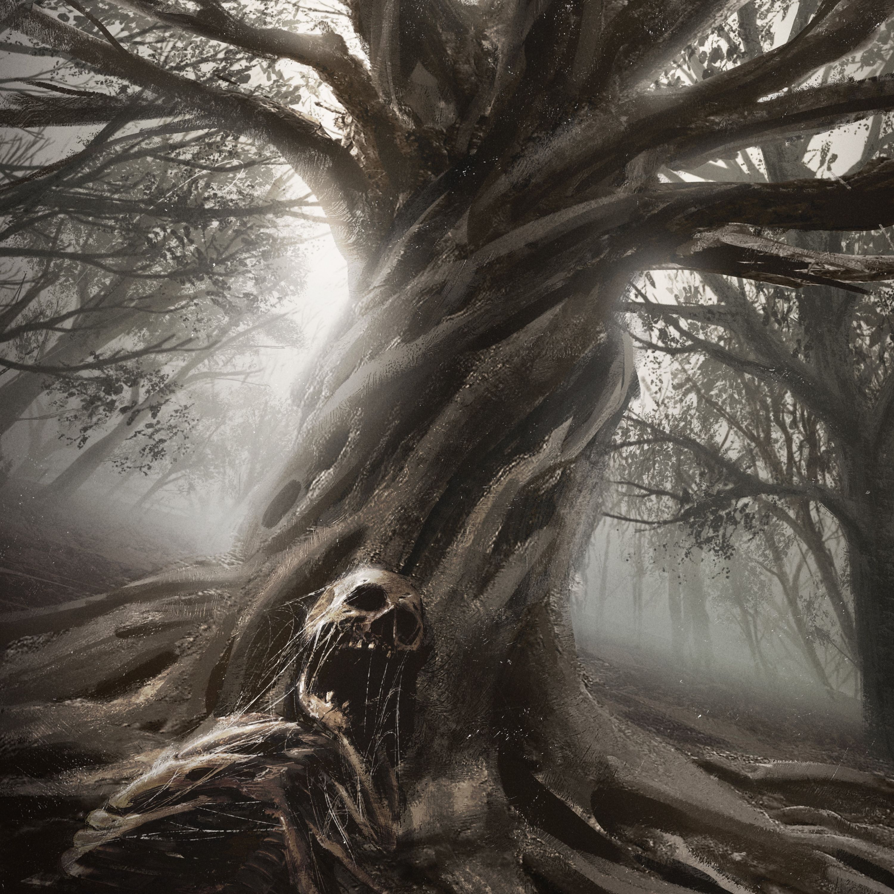 Twisted Roots