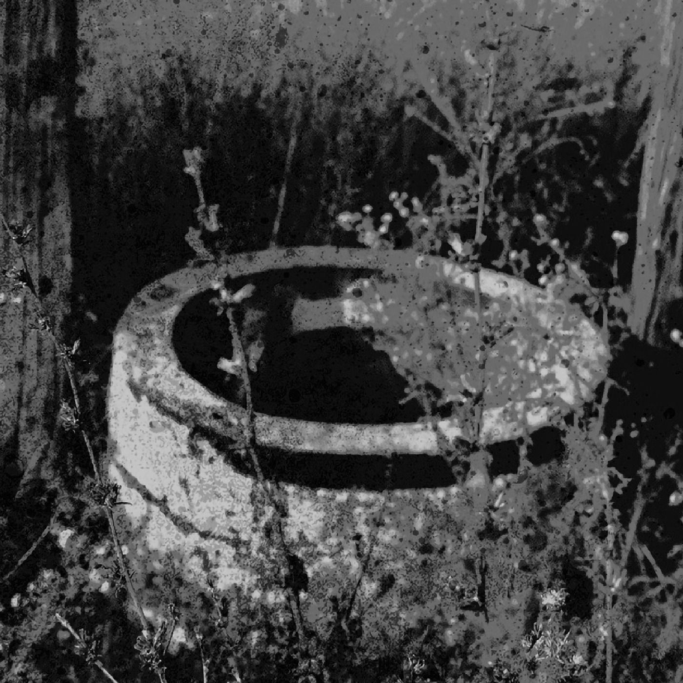 CAMPFIRE: The Well at the Edge of Town