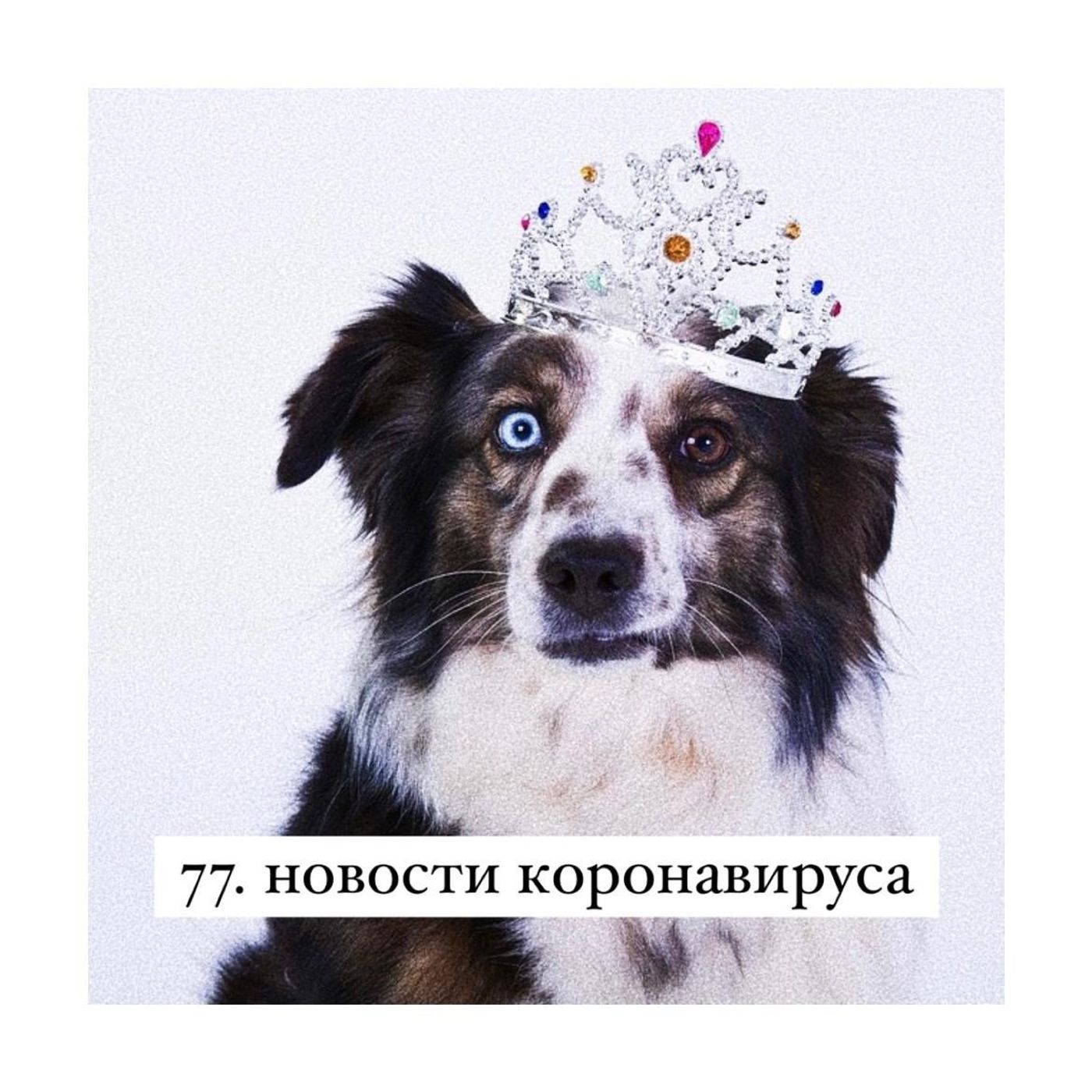 77. Последние новости коронавируса. Годовщина нашей болезни и добровольный карантин