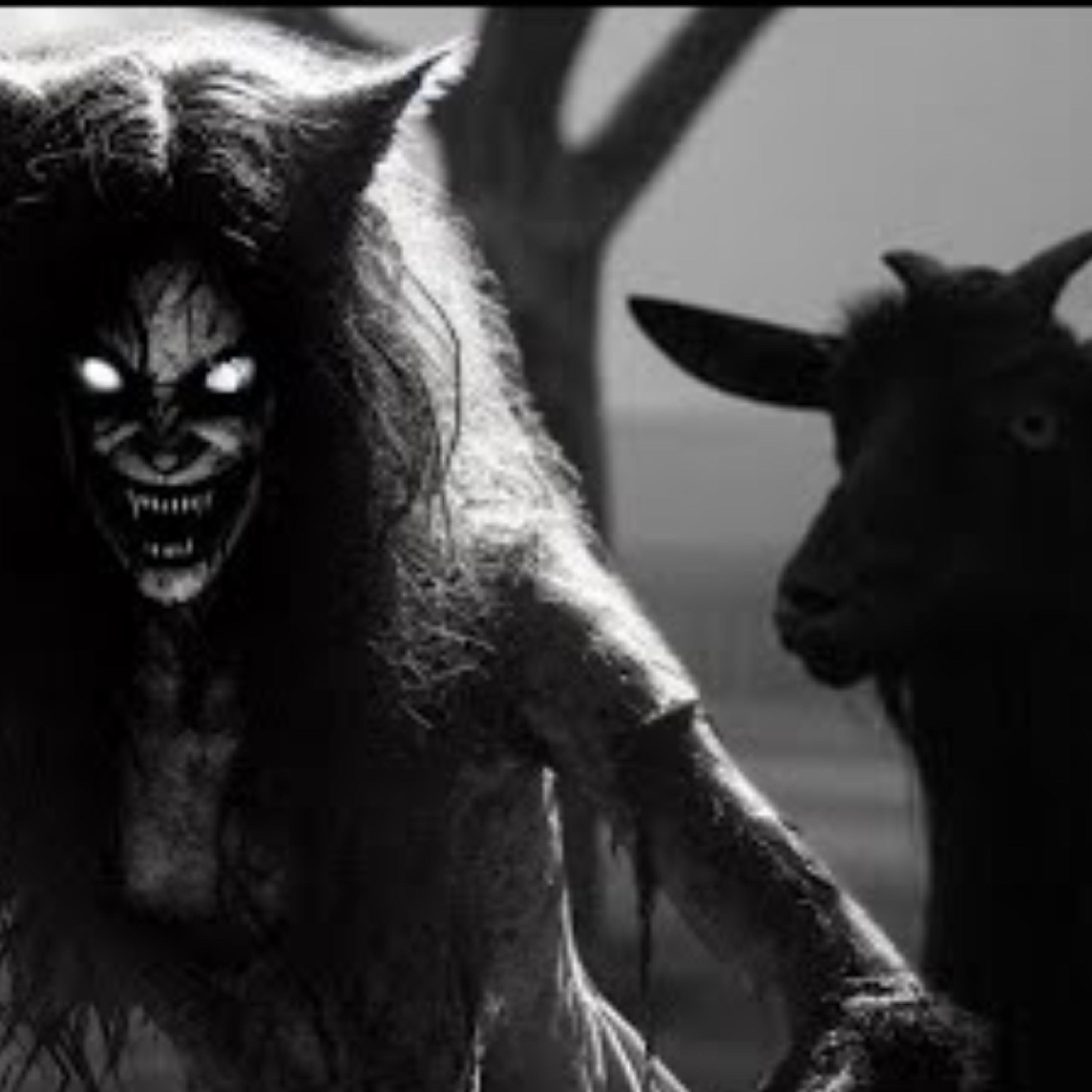 ¡Animales ACTUANDO COMO HUMANOS y Otras Historias de TERROR que NO Dejarán Dormir! 😨
