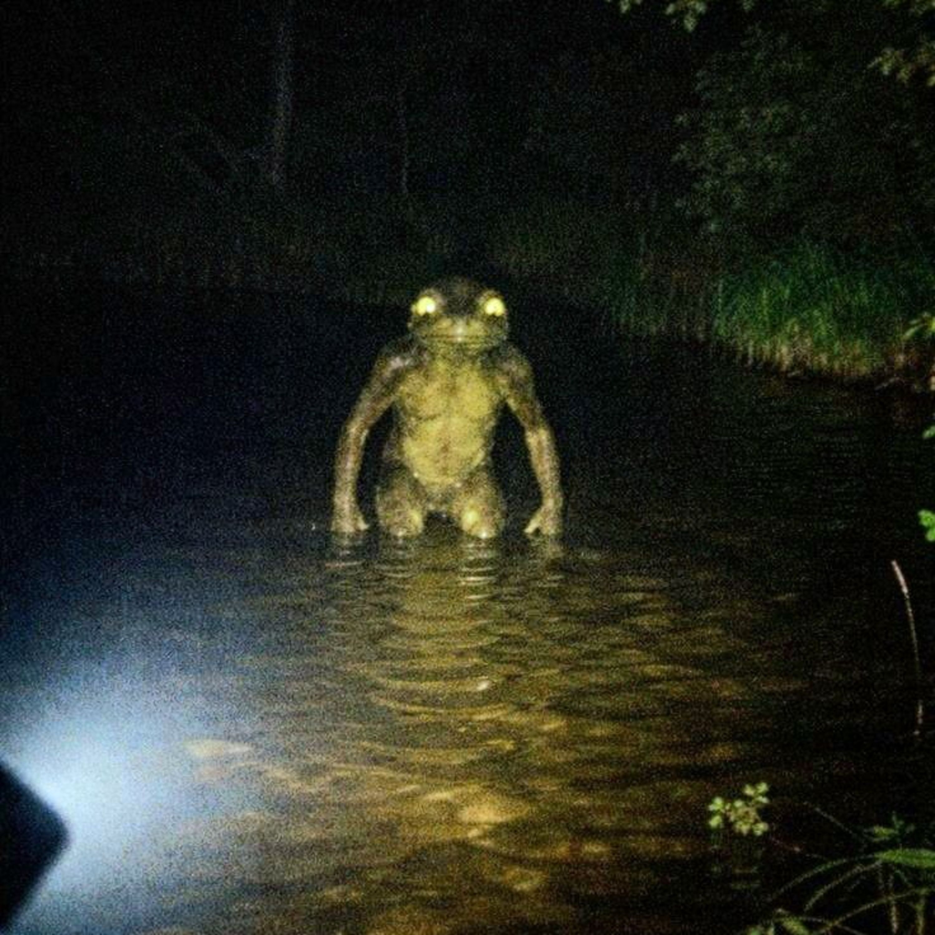 7 Nuevas Historias de terror Nahuales, Brujas y Skinwalkers | Gato Macabro