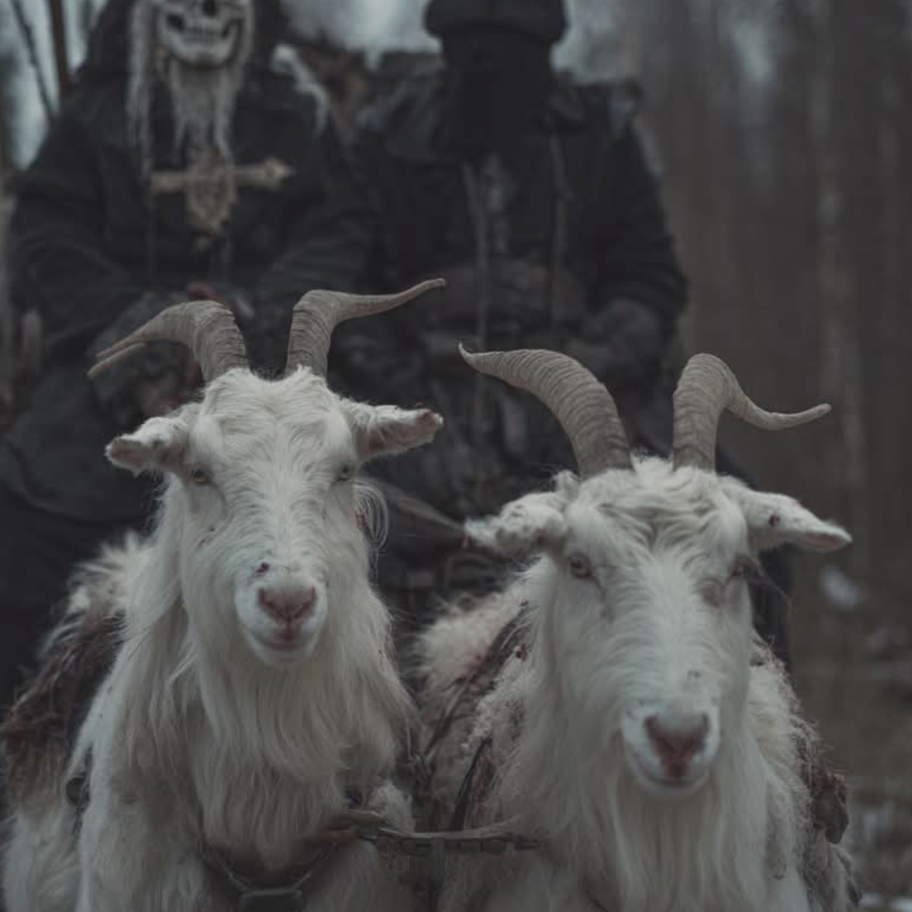 El Misterio de los Animales de Granja que Actúan como Humanos | La cabra siniestra. episode artwork