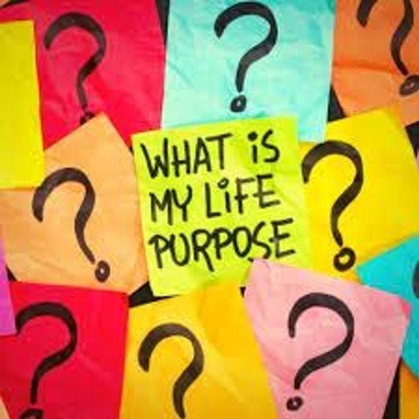 Find Your Purpose Find Your Purpose