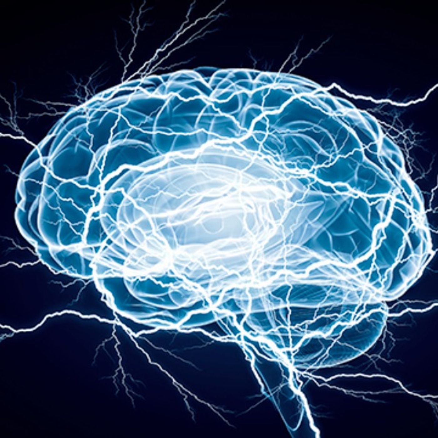 Train Your Brain Train Your Brain