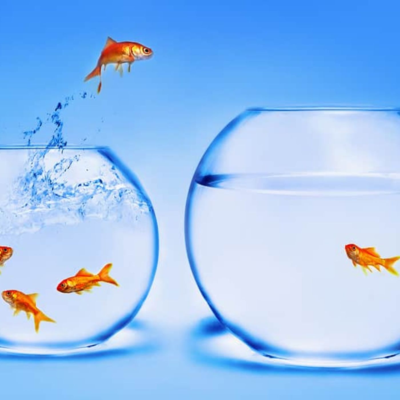 Reinvention (Part 1 of 3) Reinvention (Part 1 of 3)