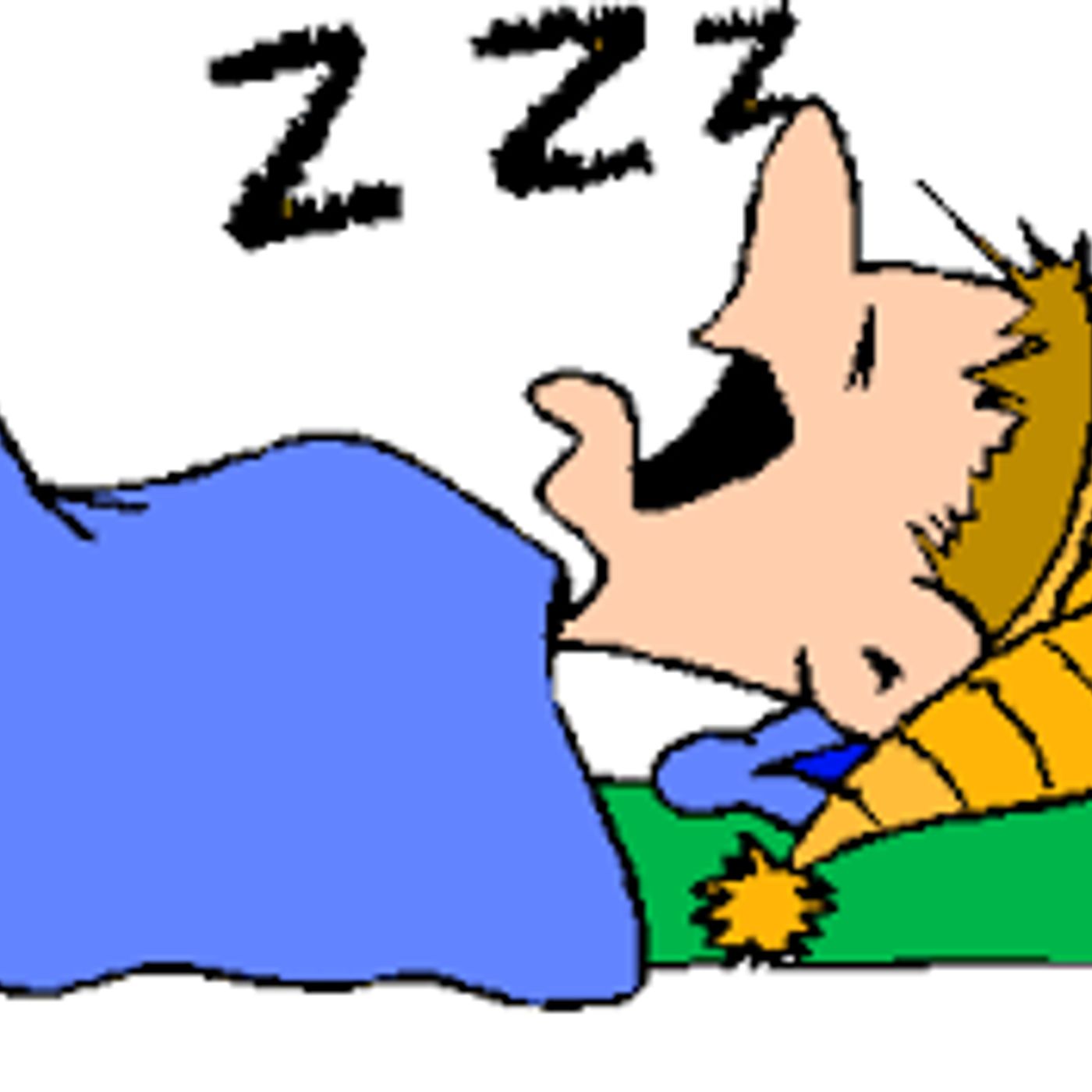 Sleep- The Other Half of Training with the Sock Doc episode artwork