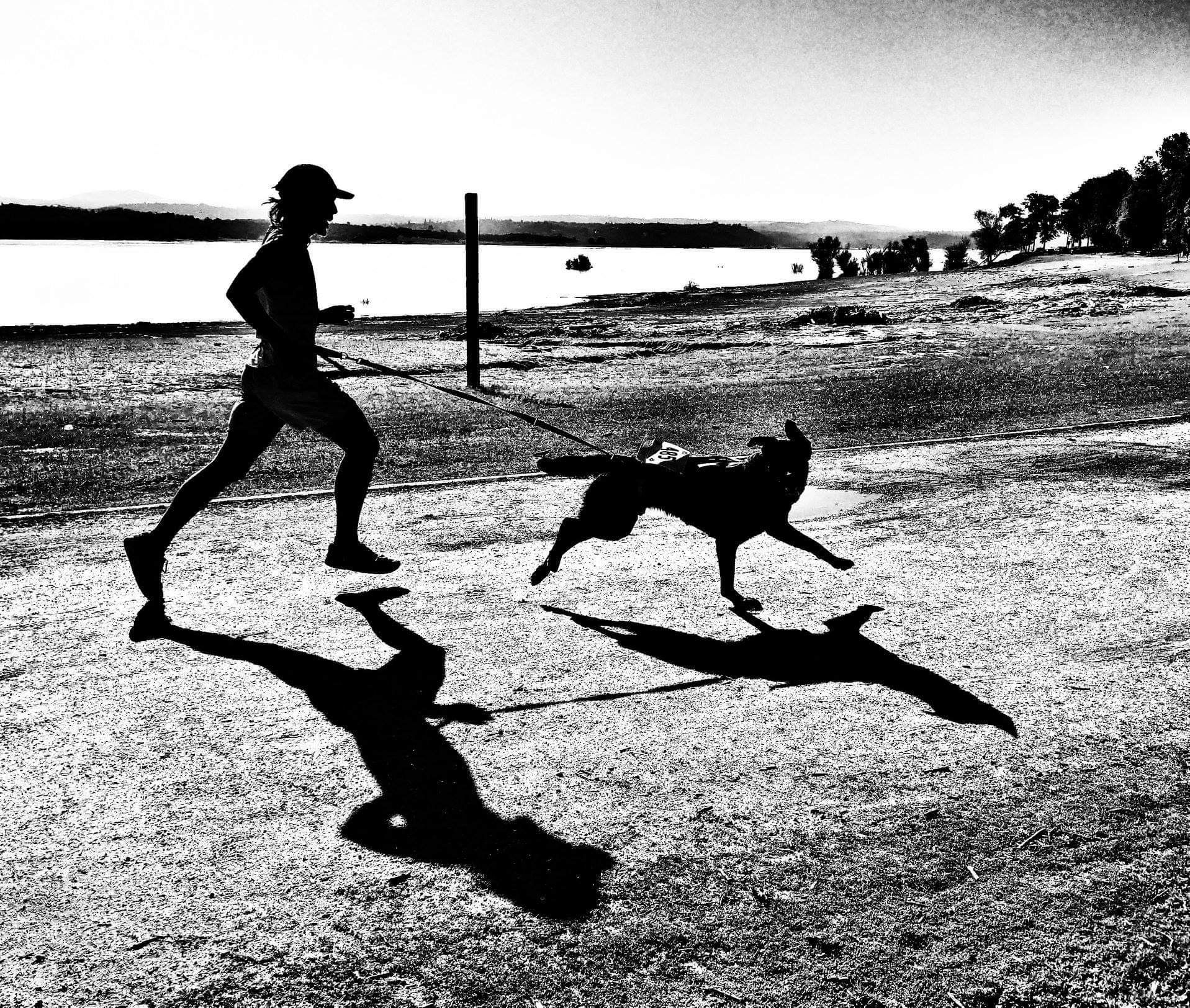 EP 478: Your Best Running Companion episode artwork