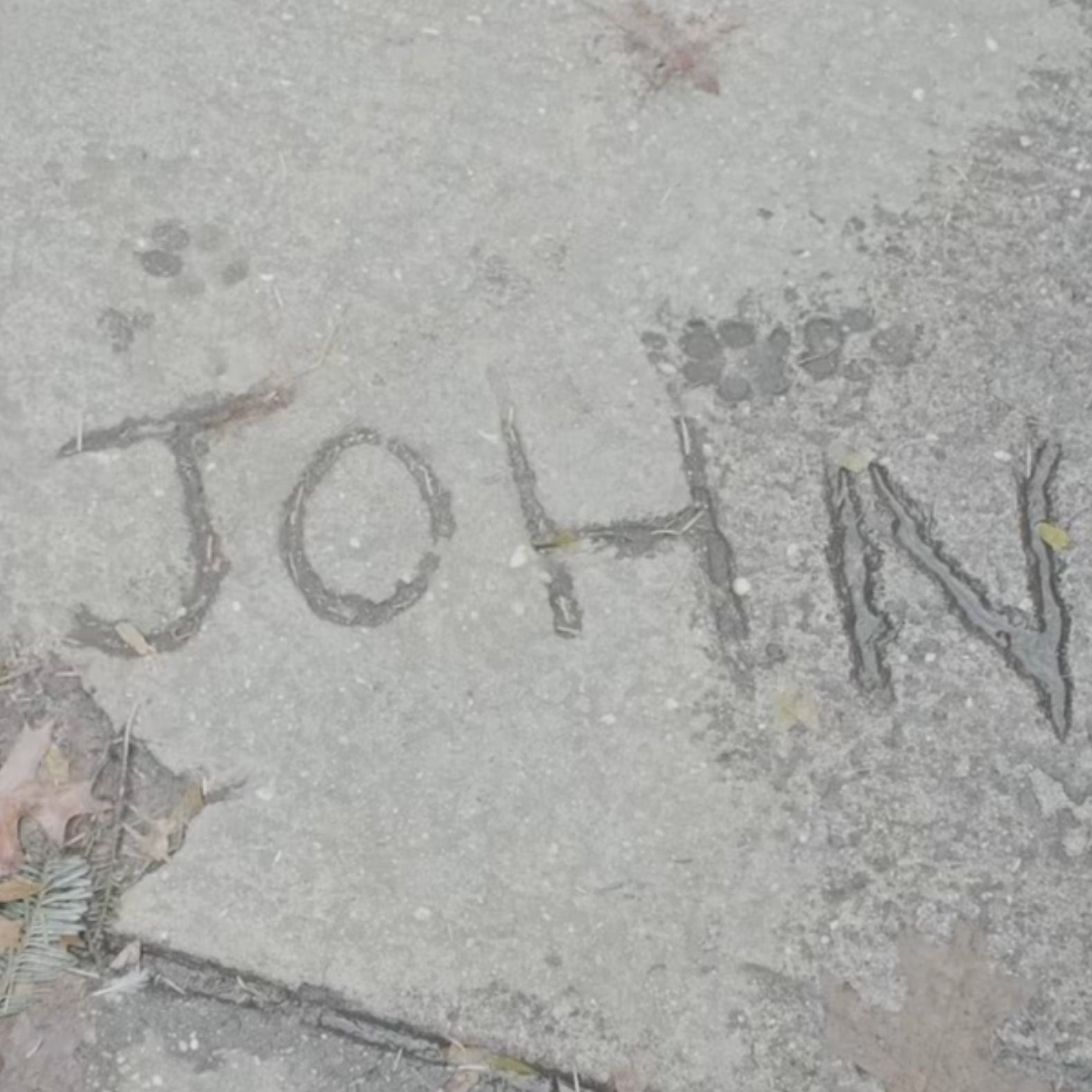 How To Make A Documentary, With John Wilson
