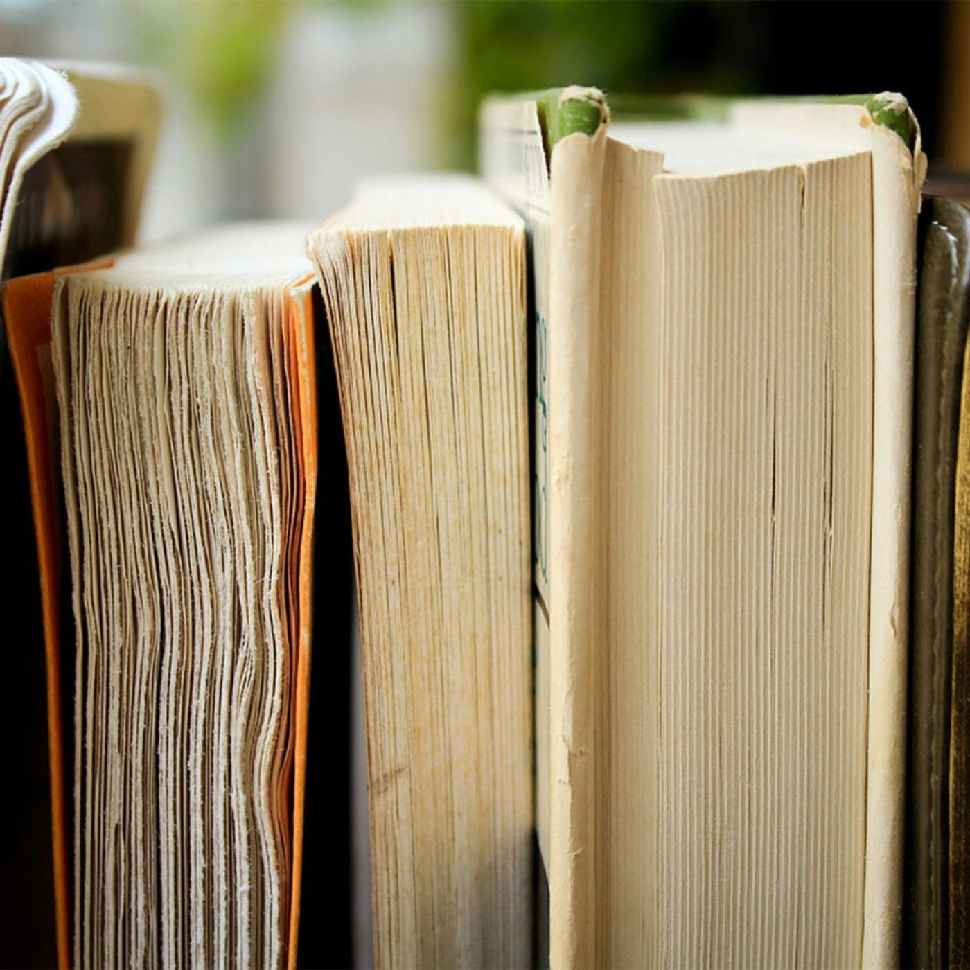 The Science of Reading: Controversy or Consensus?