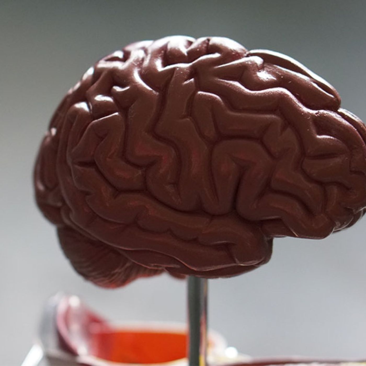 Educational Psychology