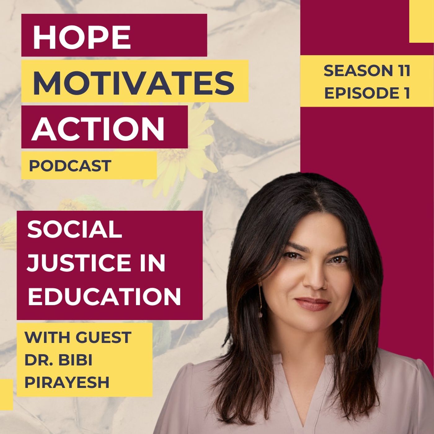 S11 | E01 Social Justice In Education with Dr. Bibi Pirayesh episode artwork
