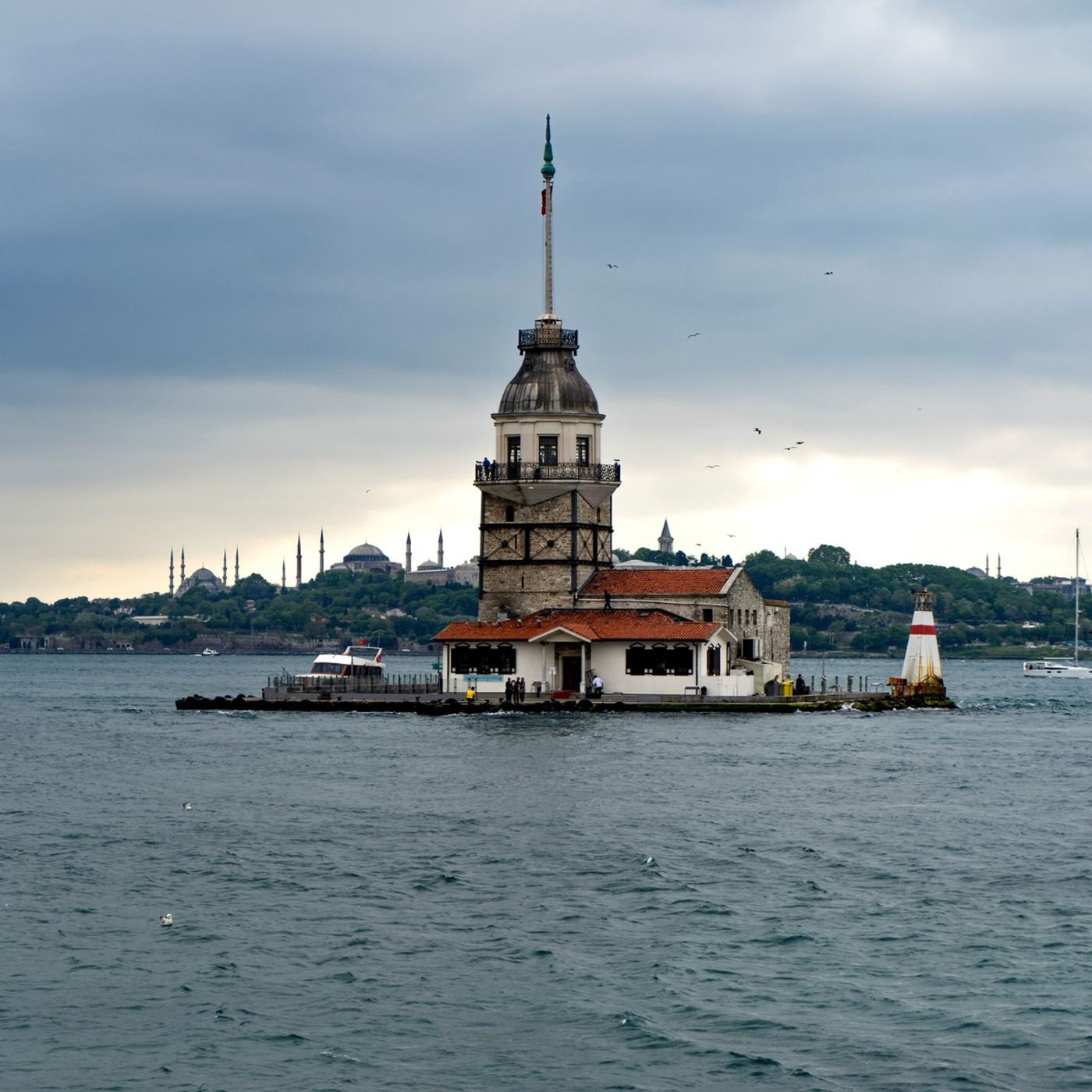 İncir Çekirdeği