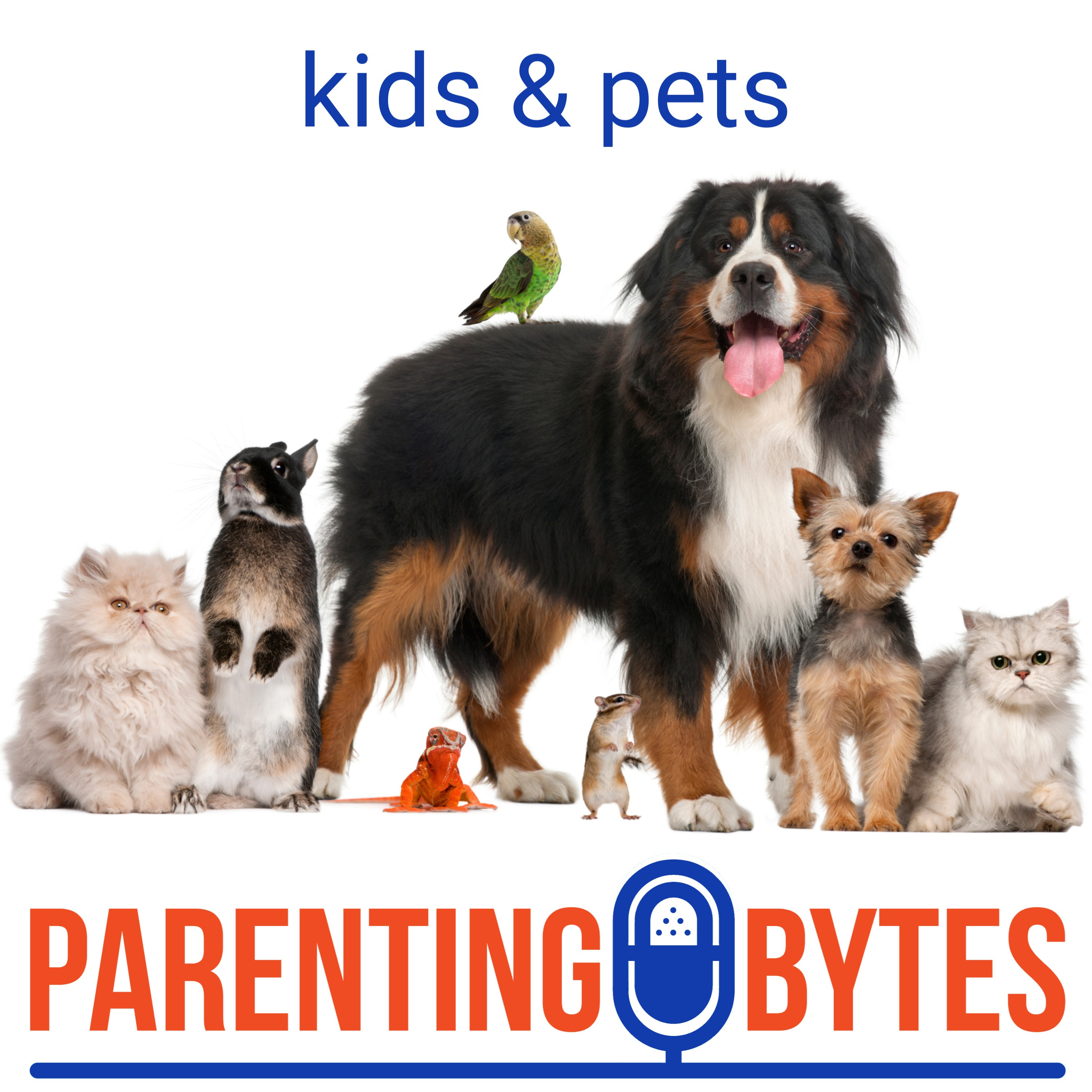 Advice on how to get a pet, from the experts - episode 185