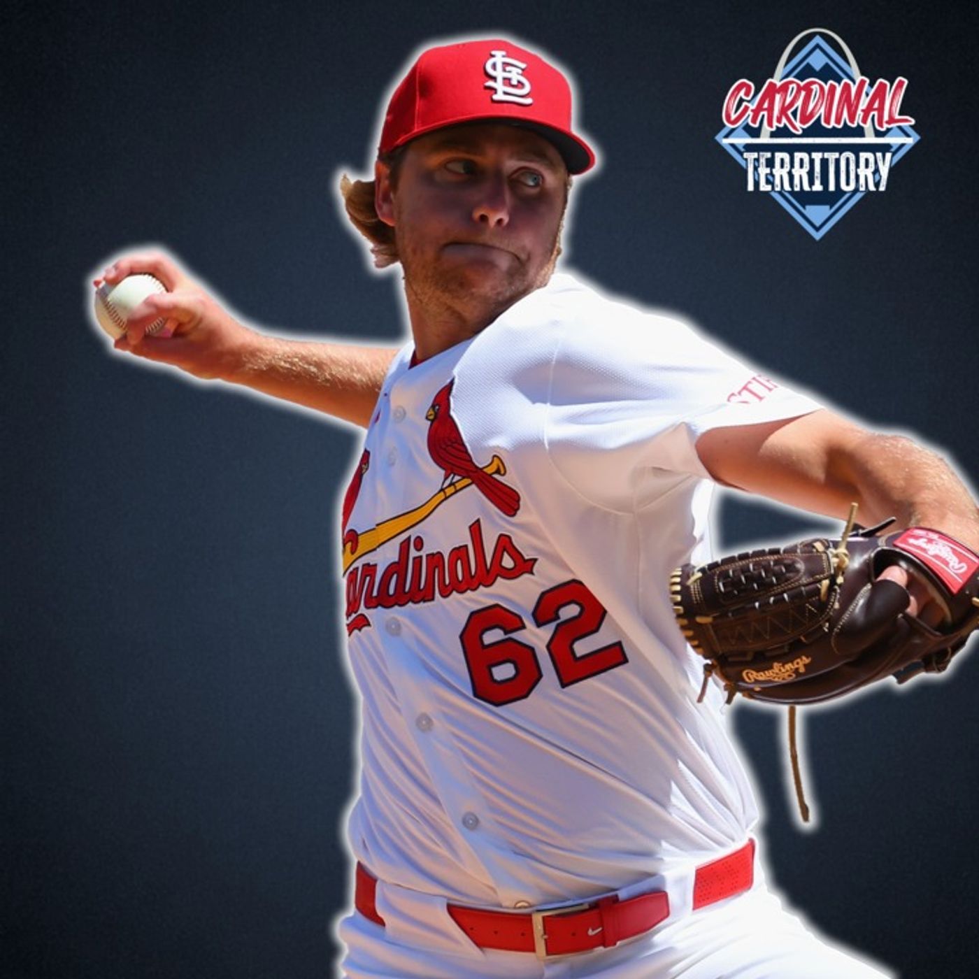 Cardinals 2025 regular season wrap up