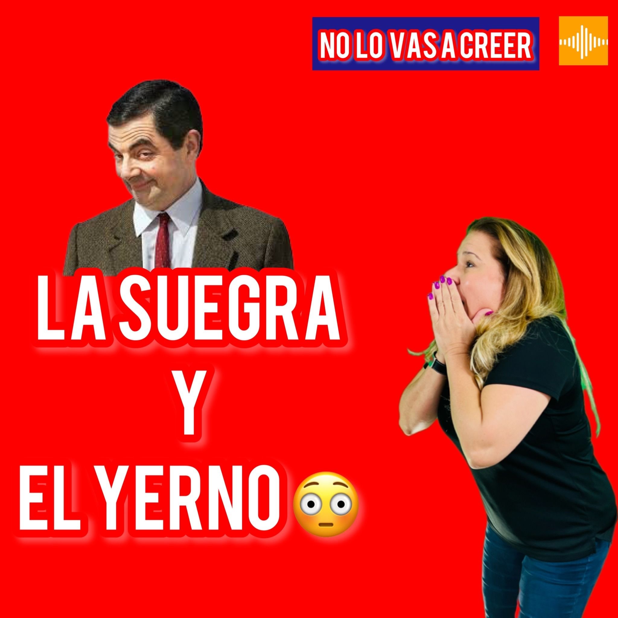 La suegra y el yerno La suegra y el yerno