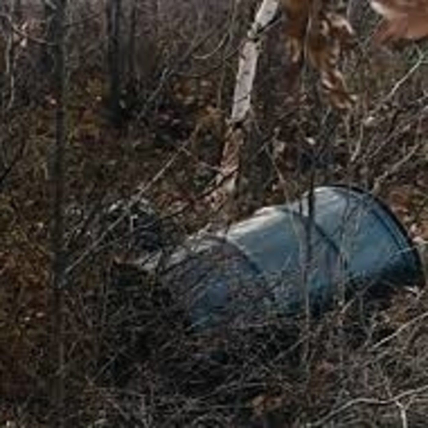 Juego De Asesinos Podcast