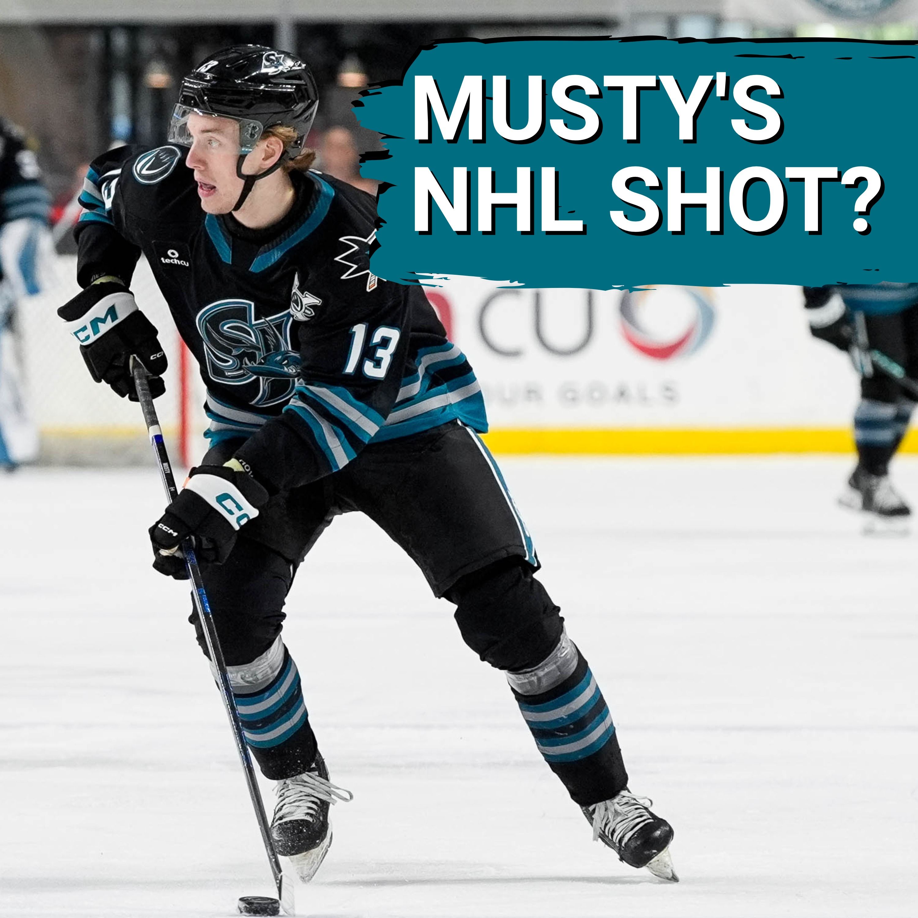 Sharks' Roster BATTLE Heats Up | Will Musty FORCE His Way onto the Team?