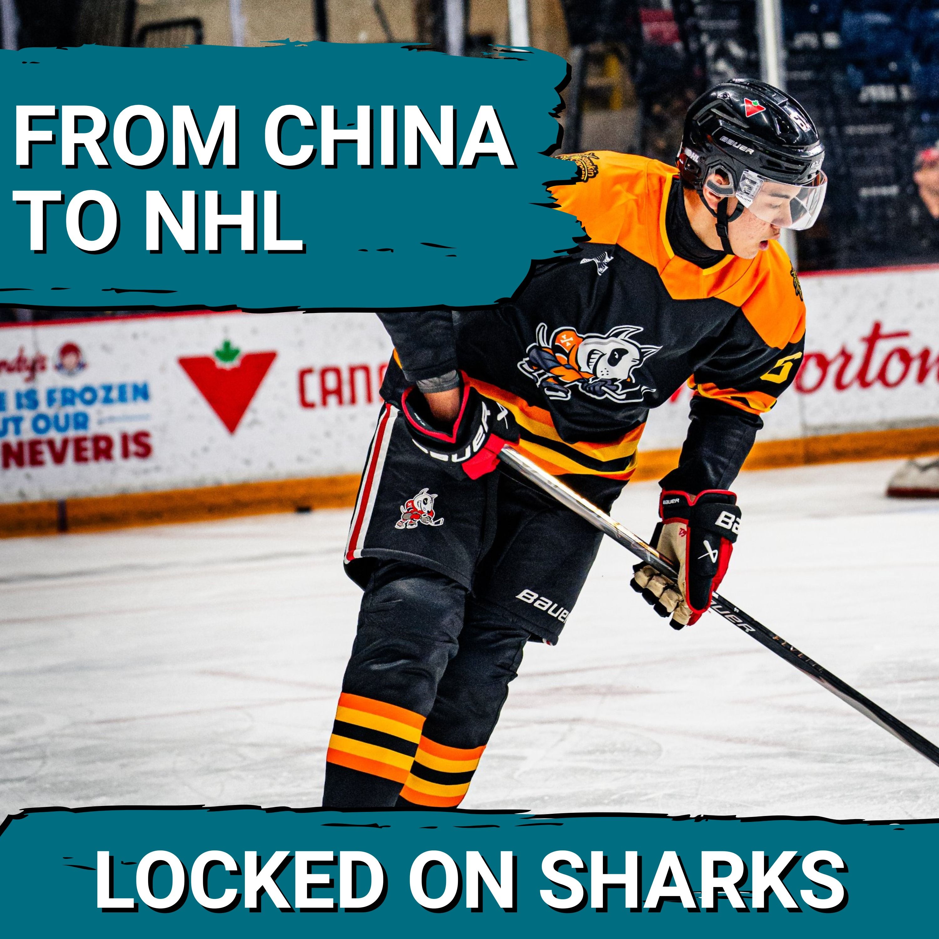Will Haoxi Wang Be the MISSING PIECE From China To The San Jose Sharks' Defense?