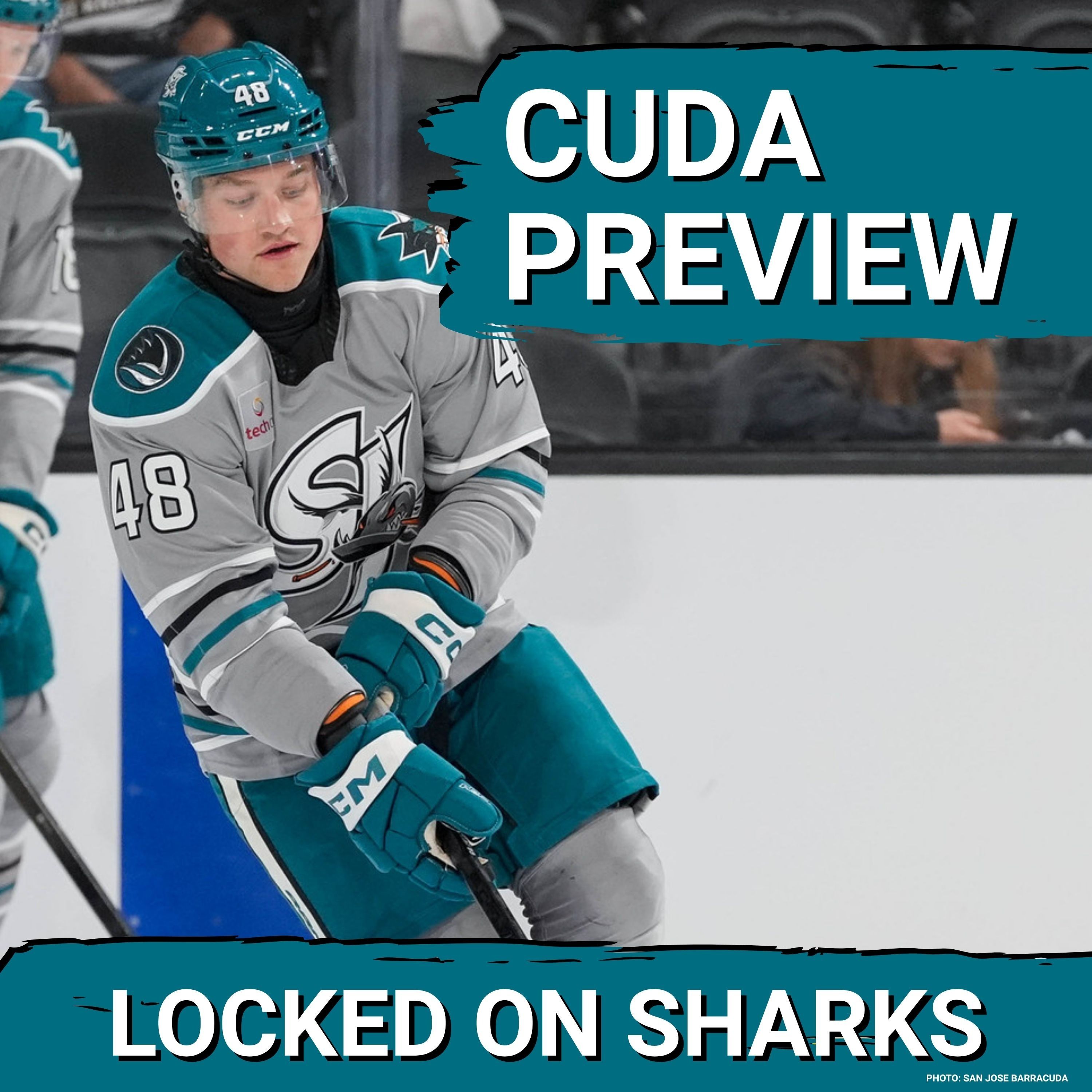 PREVIEW: San Jose Barracuda’s New-Look Roster—Can Alex Barre-Boulet and Ty Felhaber ELEVATE Team?