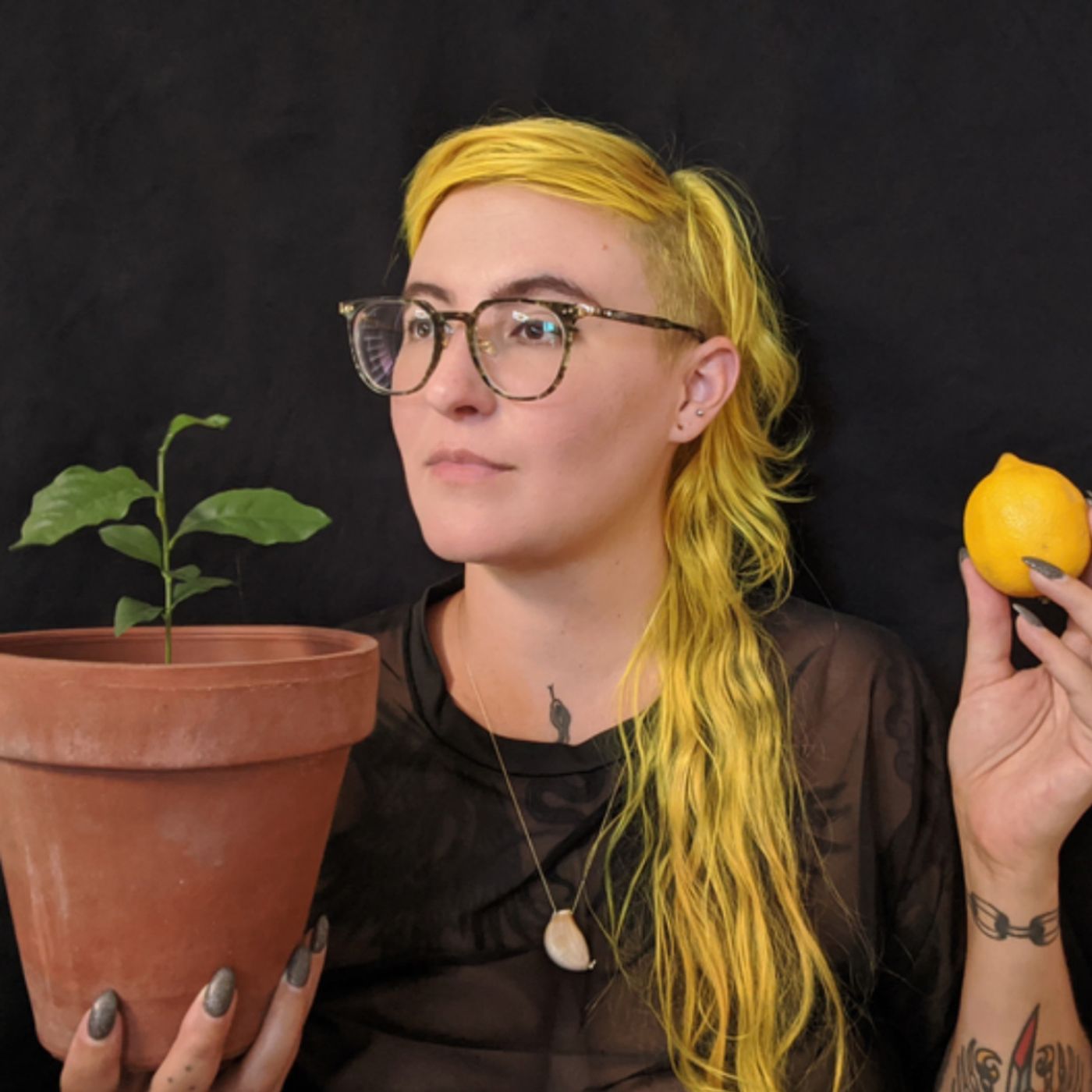 WF - Vin Caponigro AKA Snake Hair Press: Telling Your Own Story