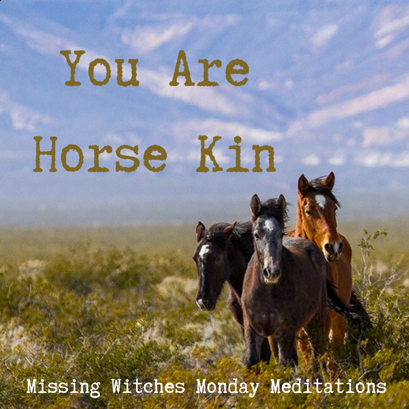 You are Horse Kin Meditation