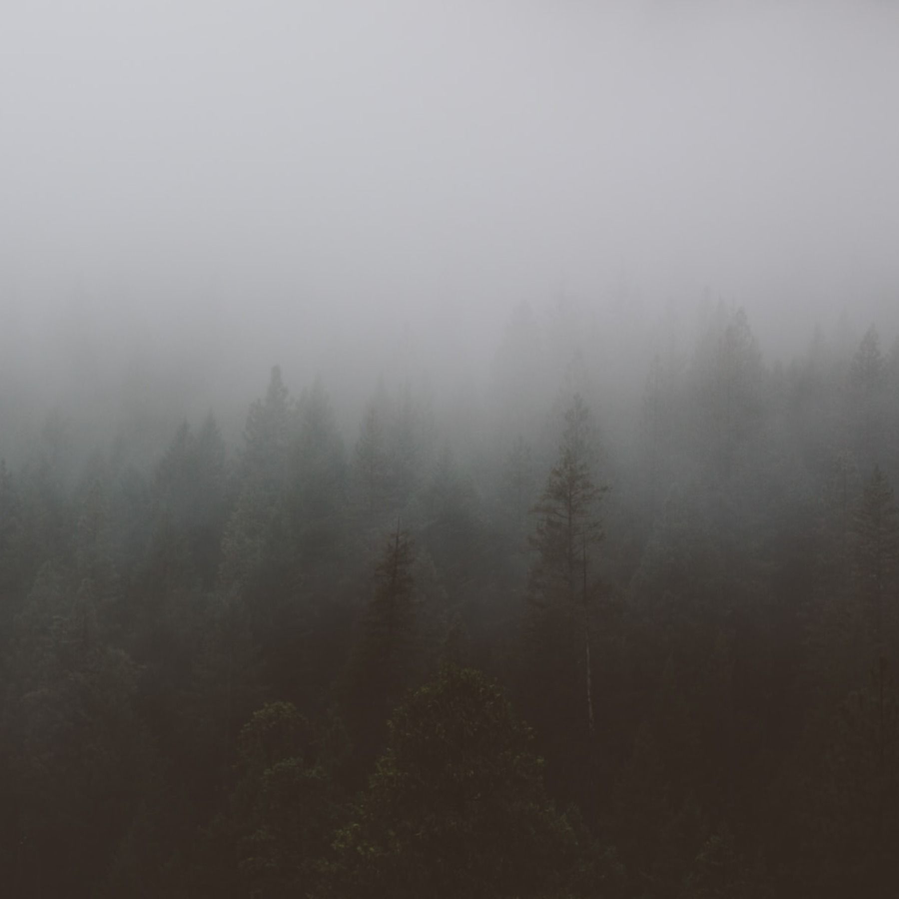 In The Grey Together: Step Into A New Moon Circle With The Missing Witches Coven
