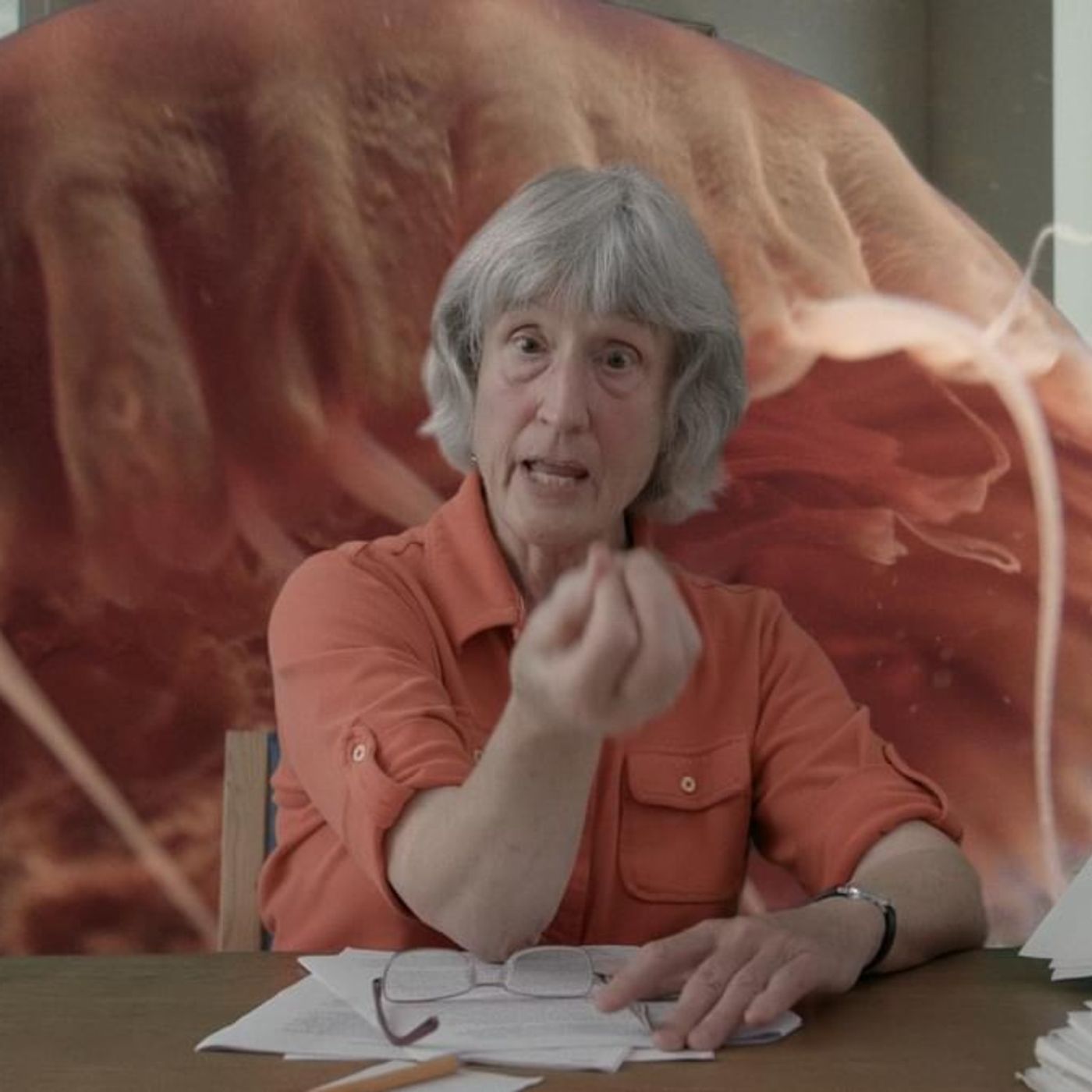 MW Donna Haraway: Experience Is A Fiction And A Fact
