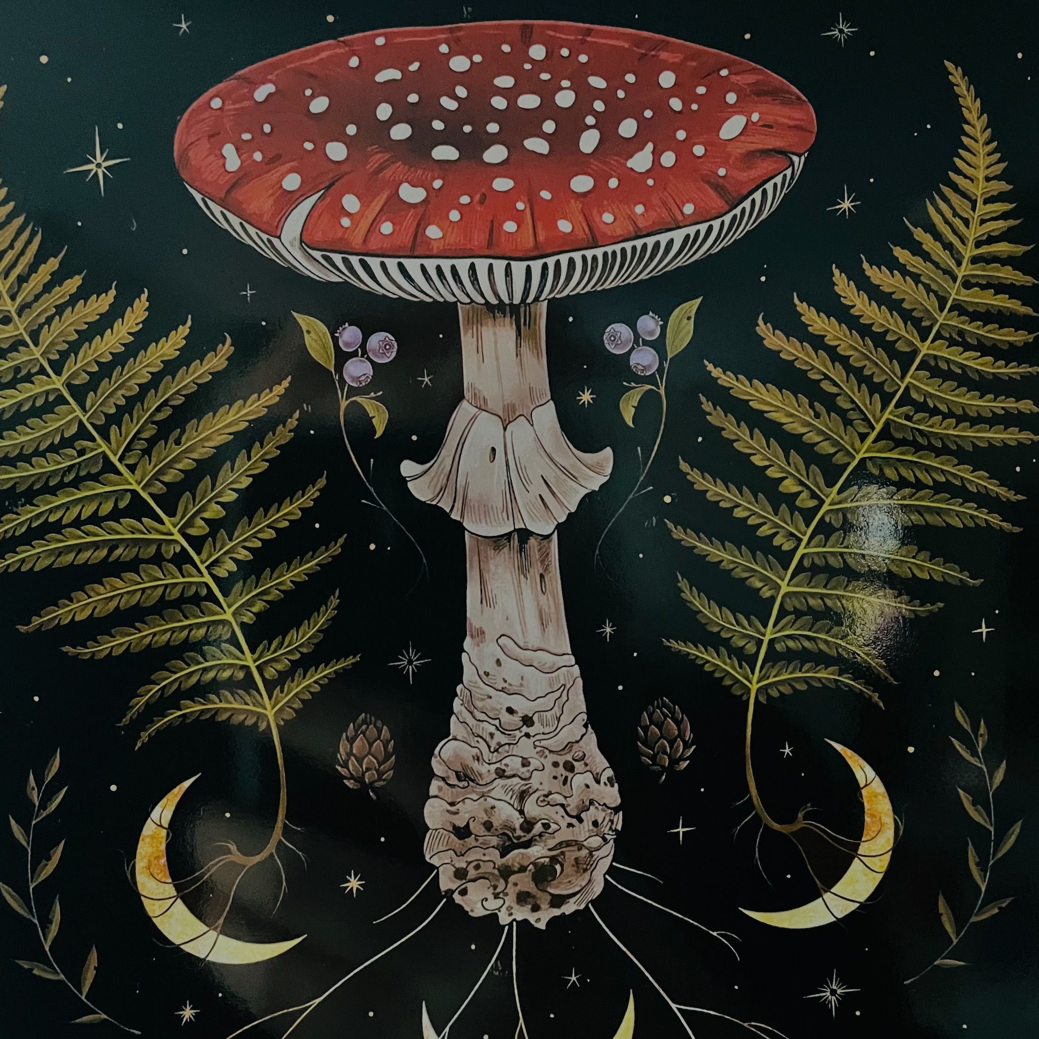 Yuletide 2022: Happy Talking Together (aka Santa Is A Mushroom)