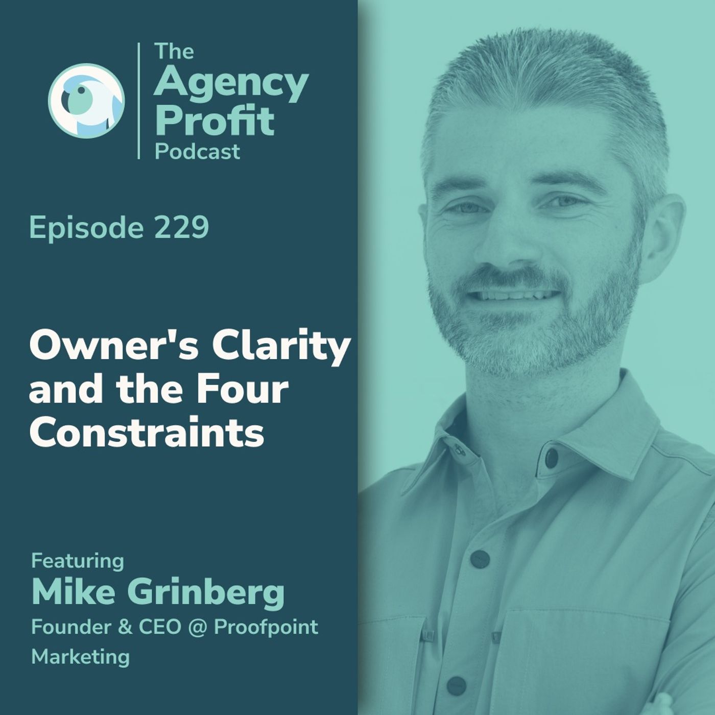 Owner's Clarity and the Four Constraints, With Mike Grinberg episode artwork