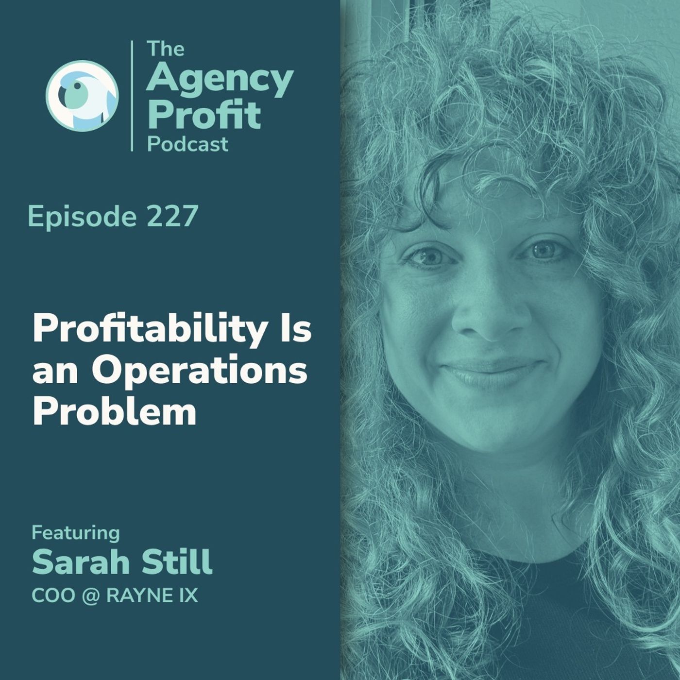 Profitability Is an Operations Problem, with Sarah Still episode artwork
