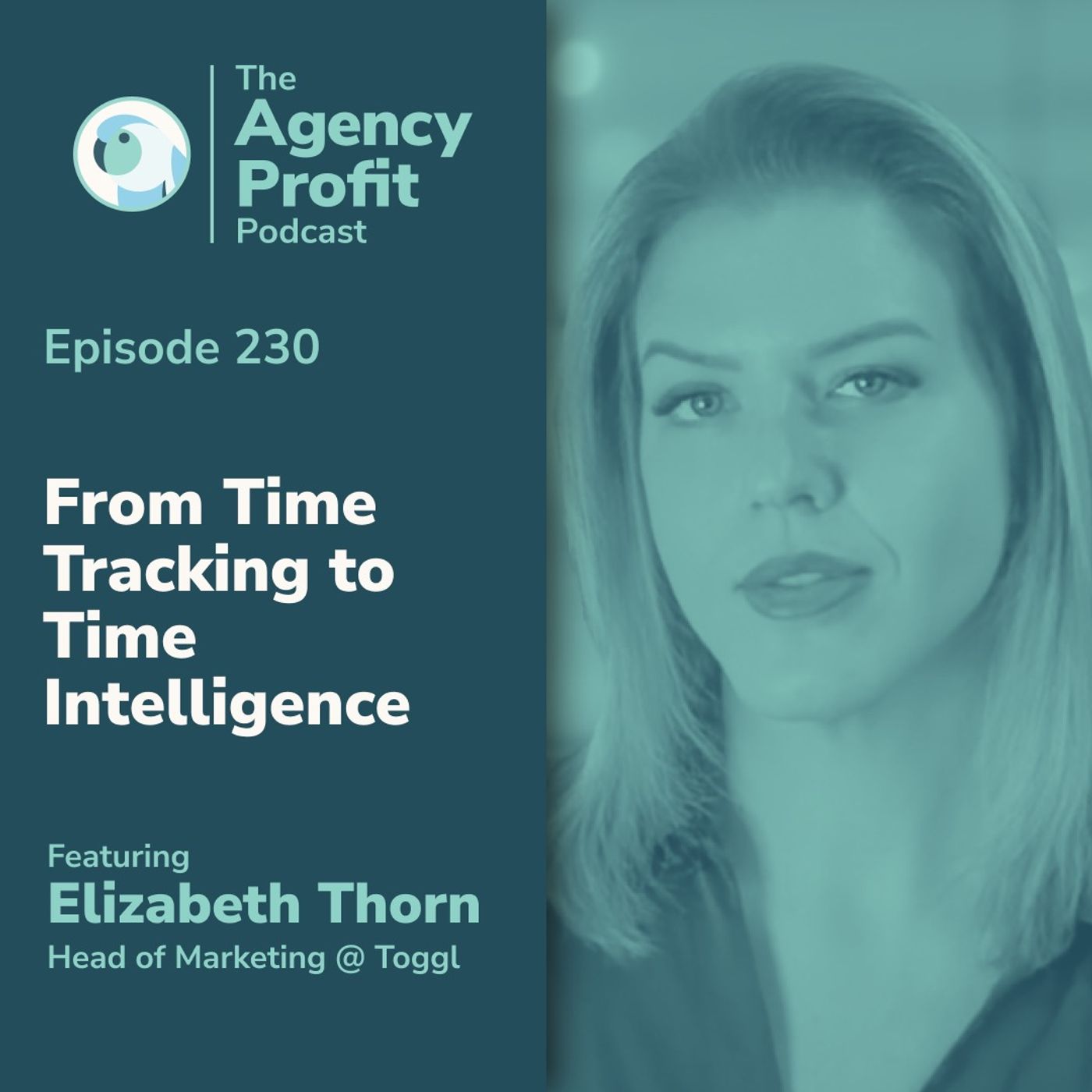 From Time Tracking to Time Intelligence, With Elizabeth Thorn episode artwork