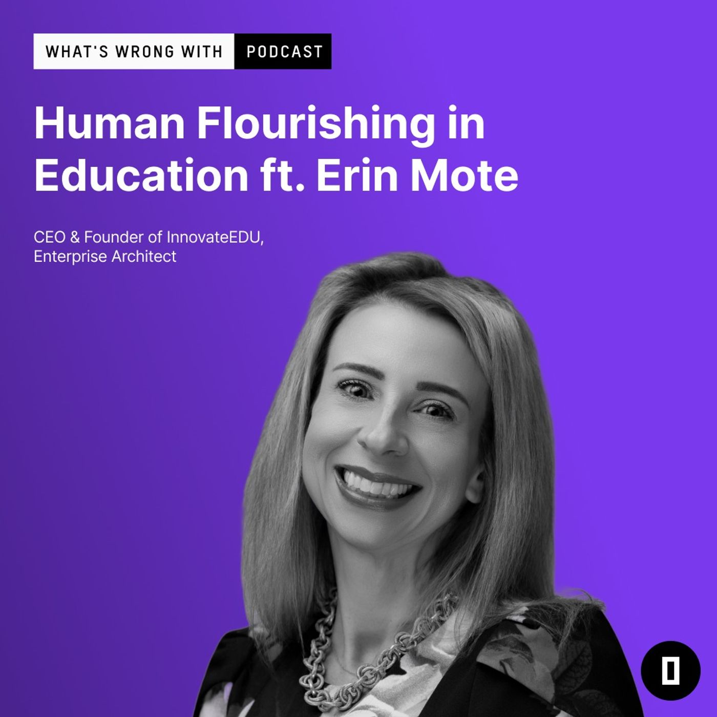 How might we enable human flourishing in American education system? ft. Erin Mote episode artwork