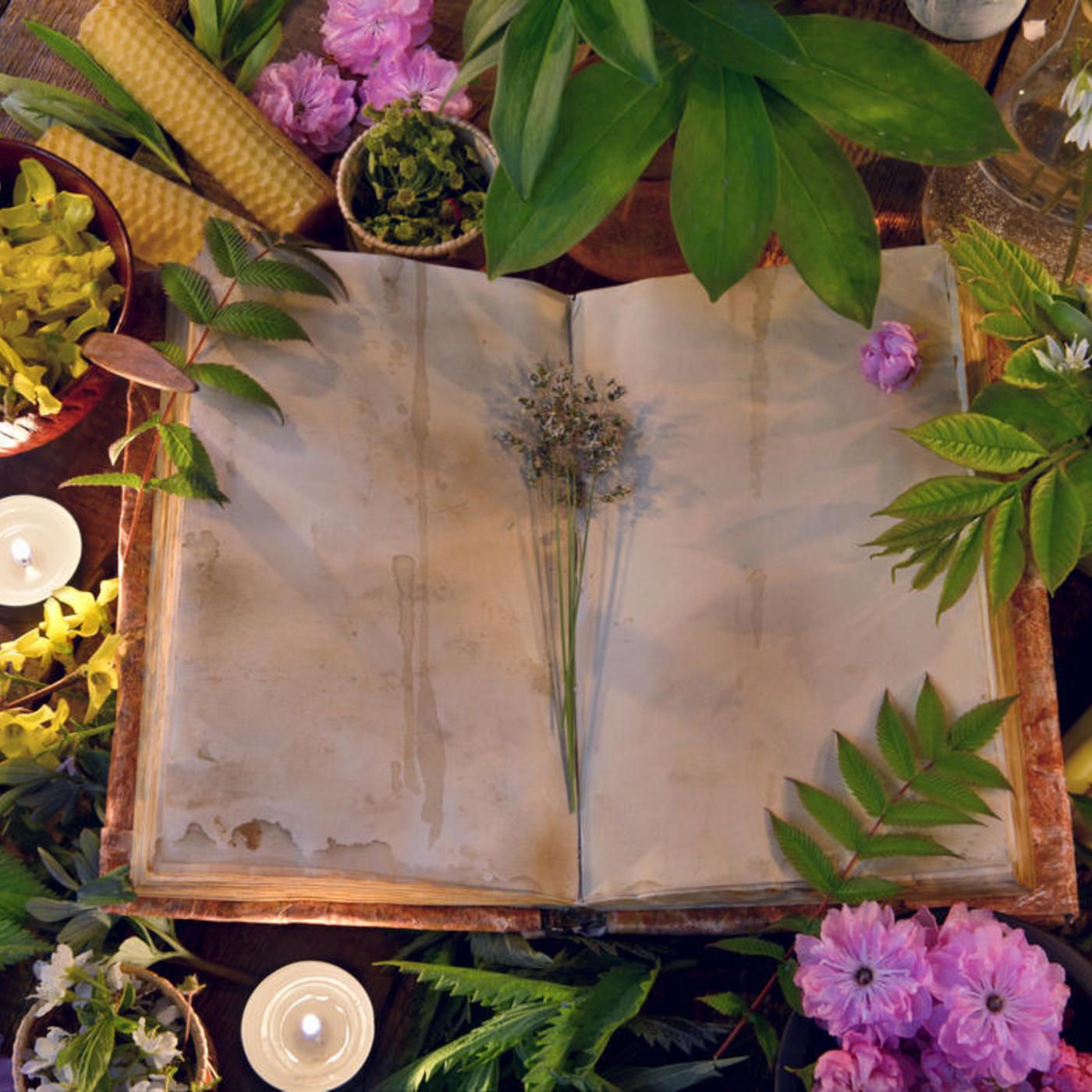 200: 2 de febrero – Ritual de purificación de malas energías