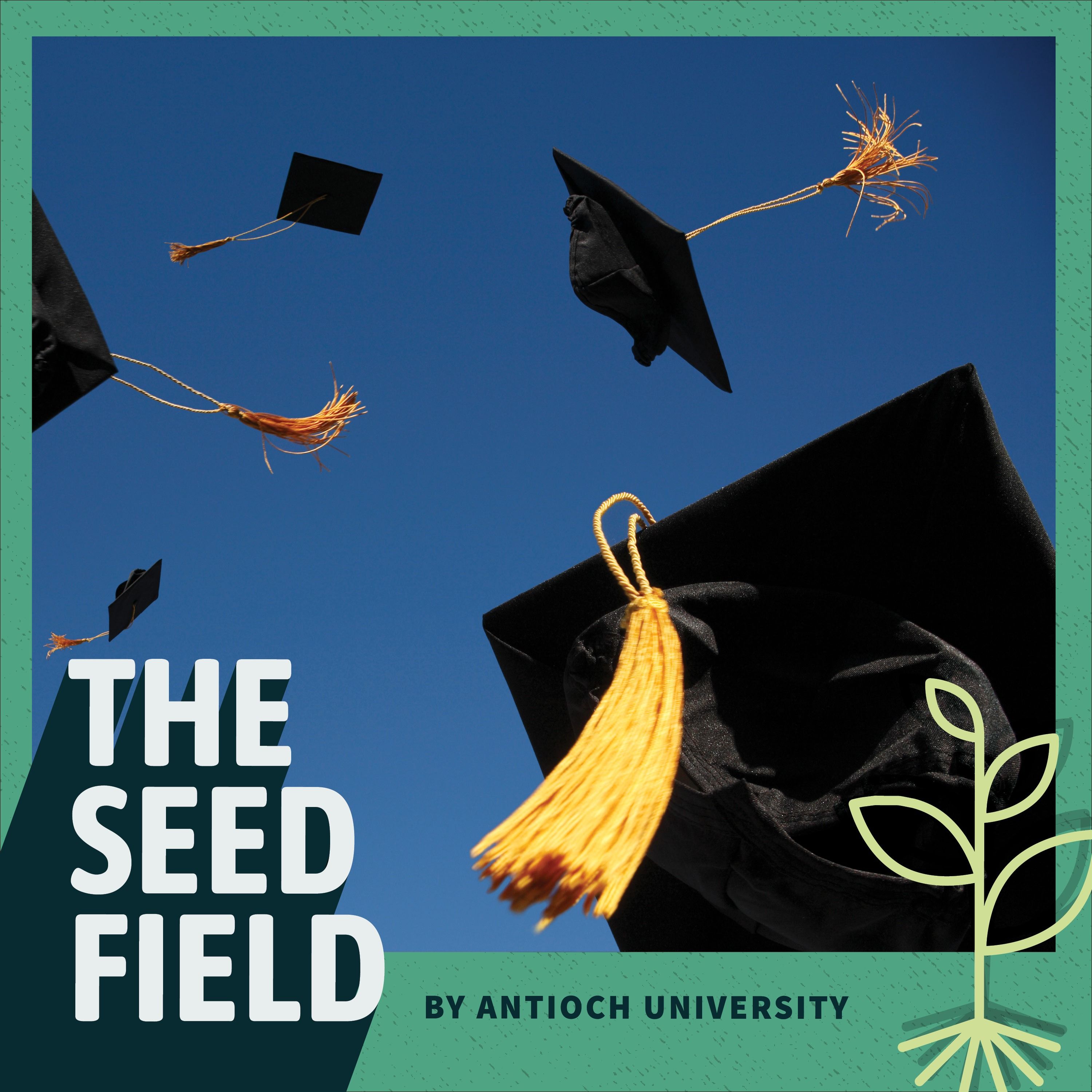 The Seed Field