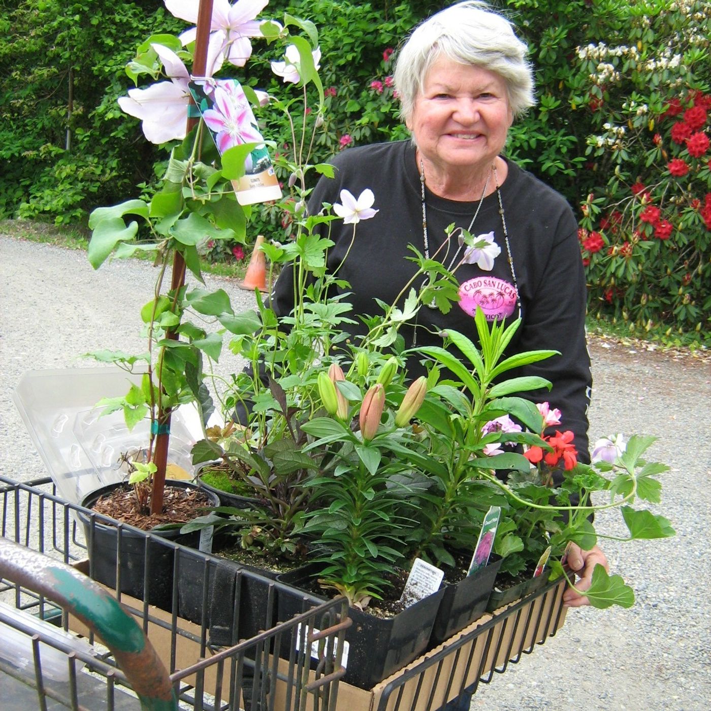 Joyce Baker - Selling Christmas Trees - an Entrepreneur Story