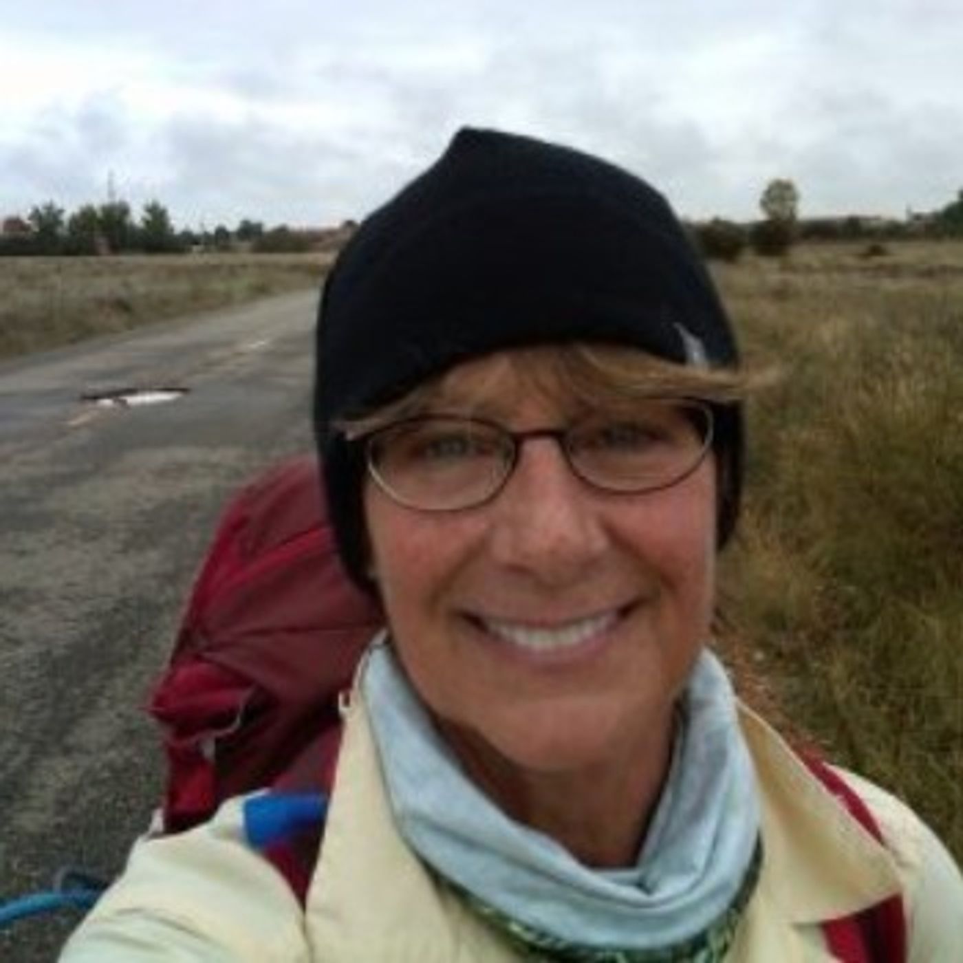 Diane Wyzga - The Camino - Letting go