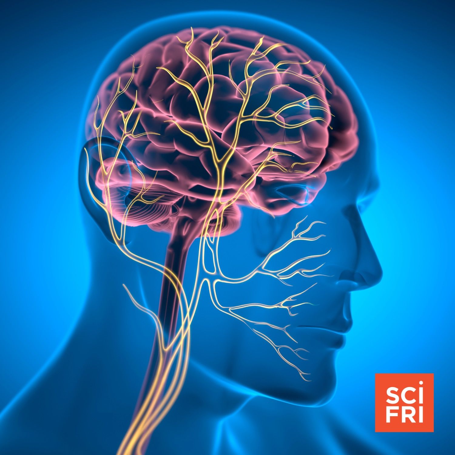 Is There Science Behind The ‘Nervous System Reset’?