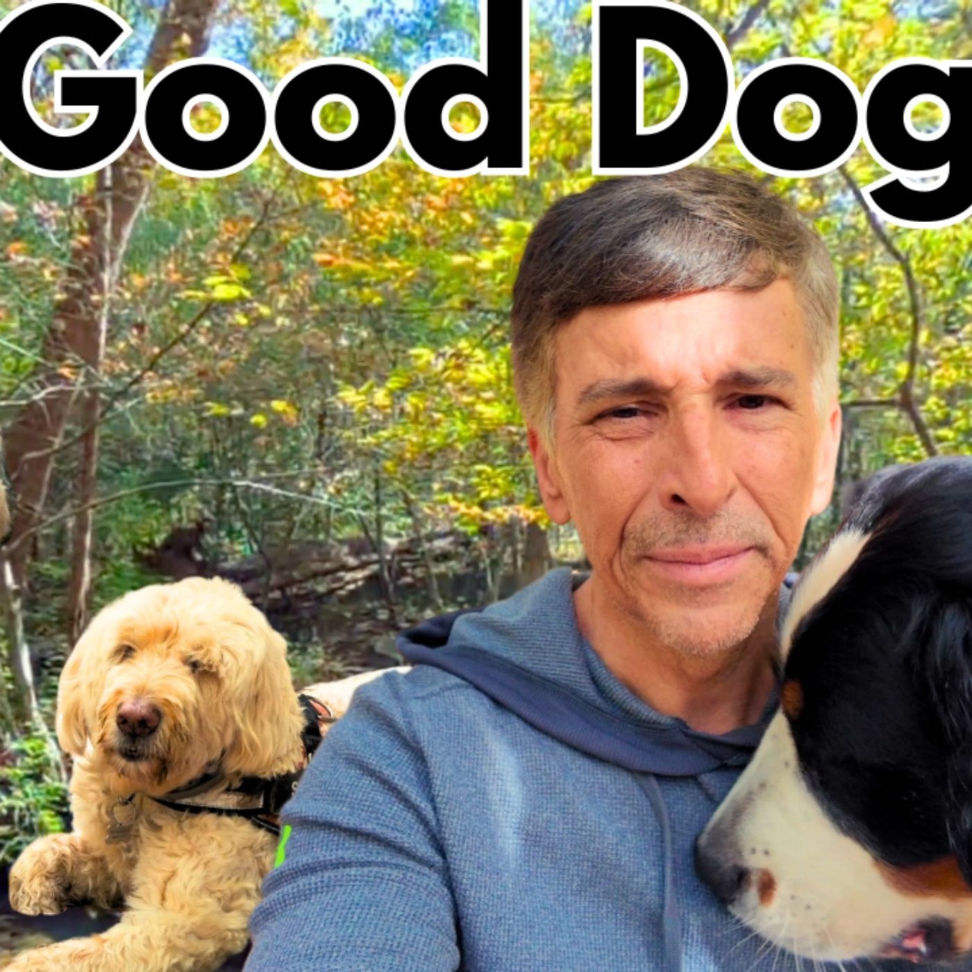 How My Dogs Gave Me Purpose Following My Divorce