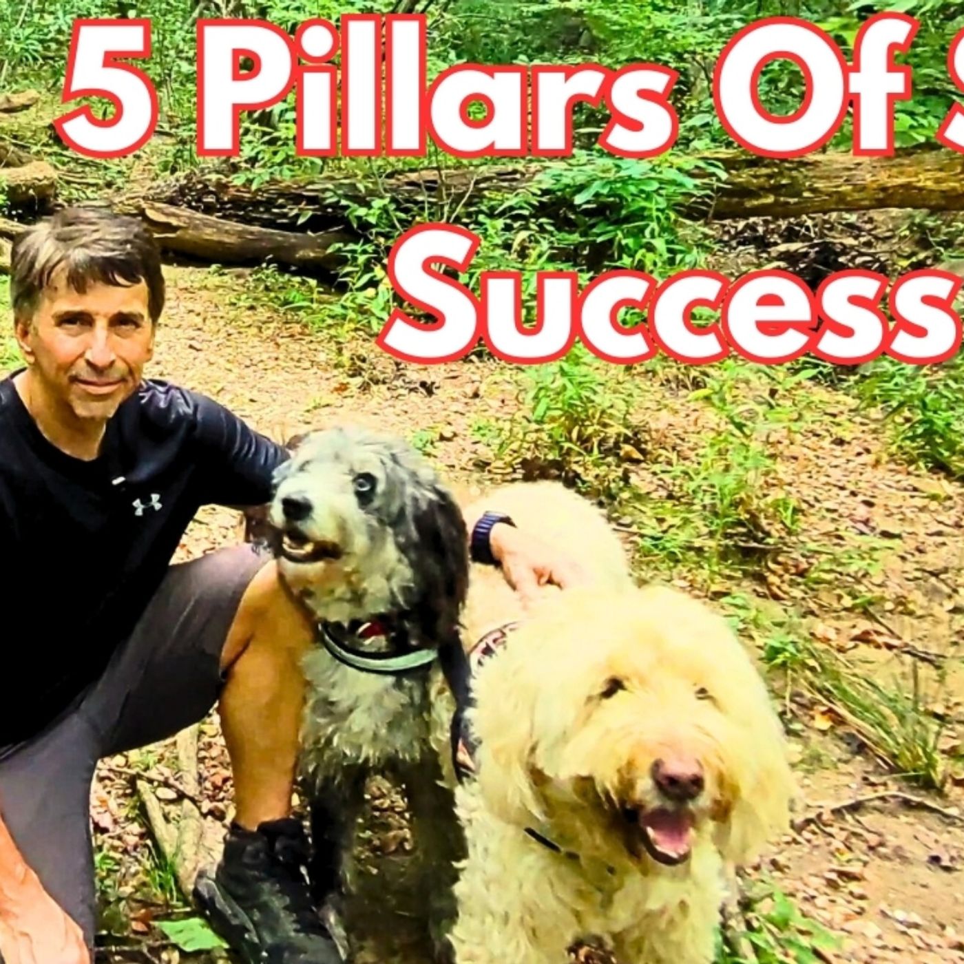 The 5 Pillars of Solo Success