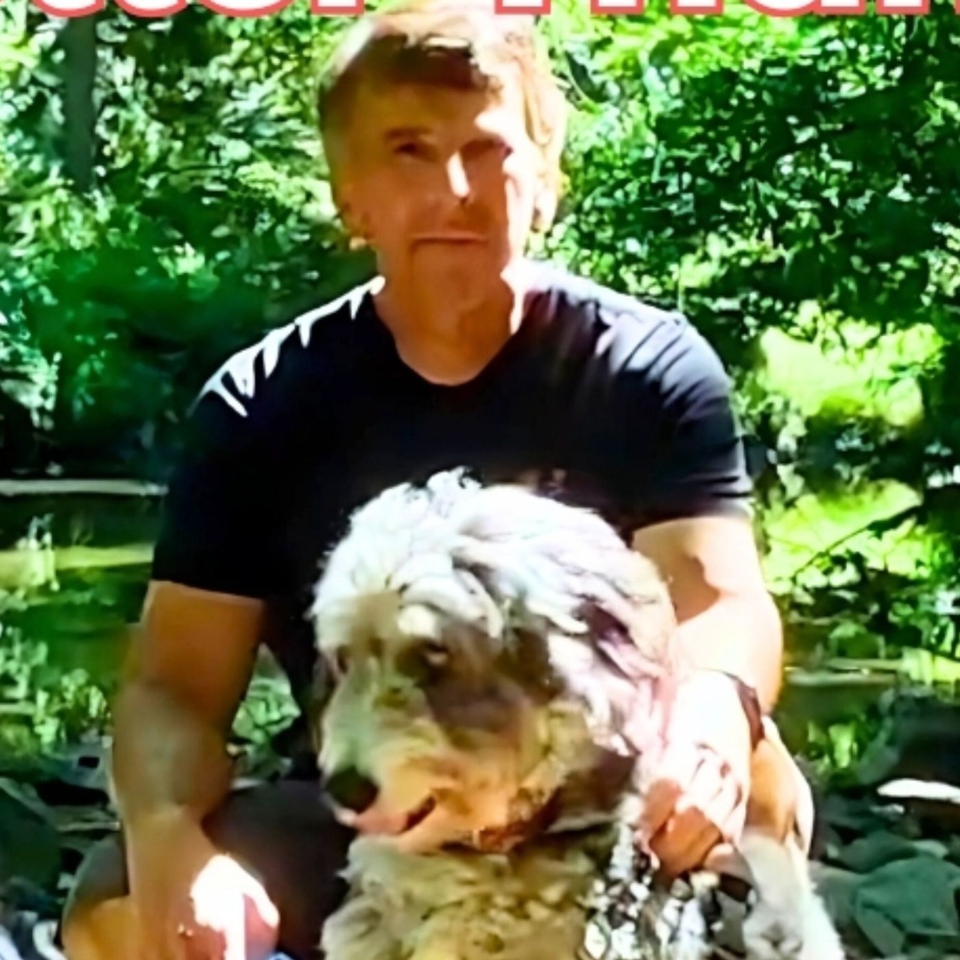 From Rock Bottom To Bulletproof:  The Complete Recovery Process