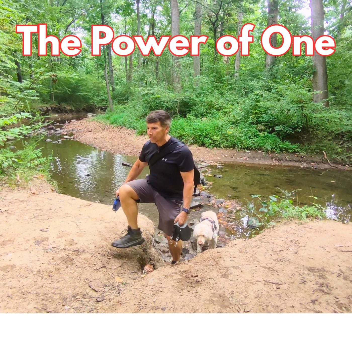 The Single Man's Blueprint: Why Solo Life is Actually the Advantage