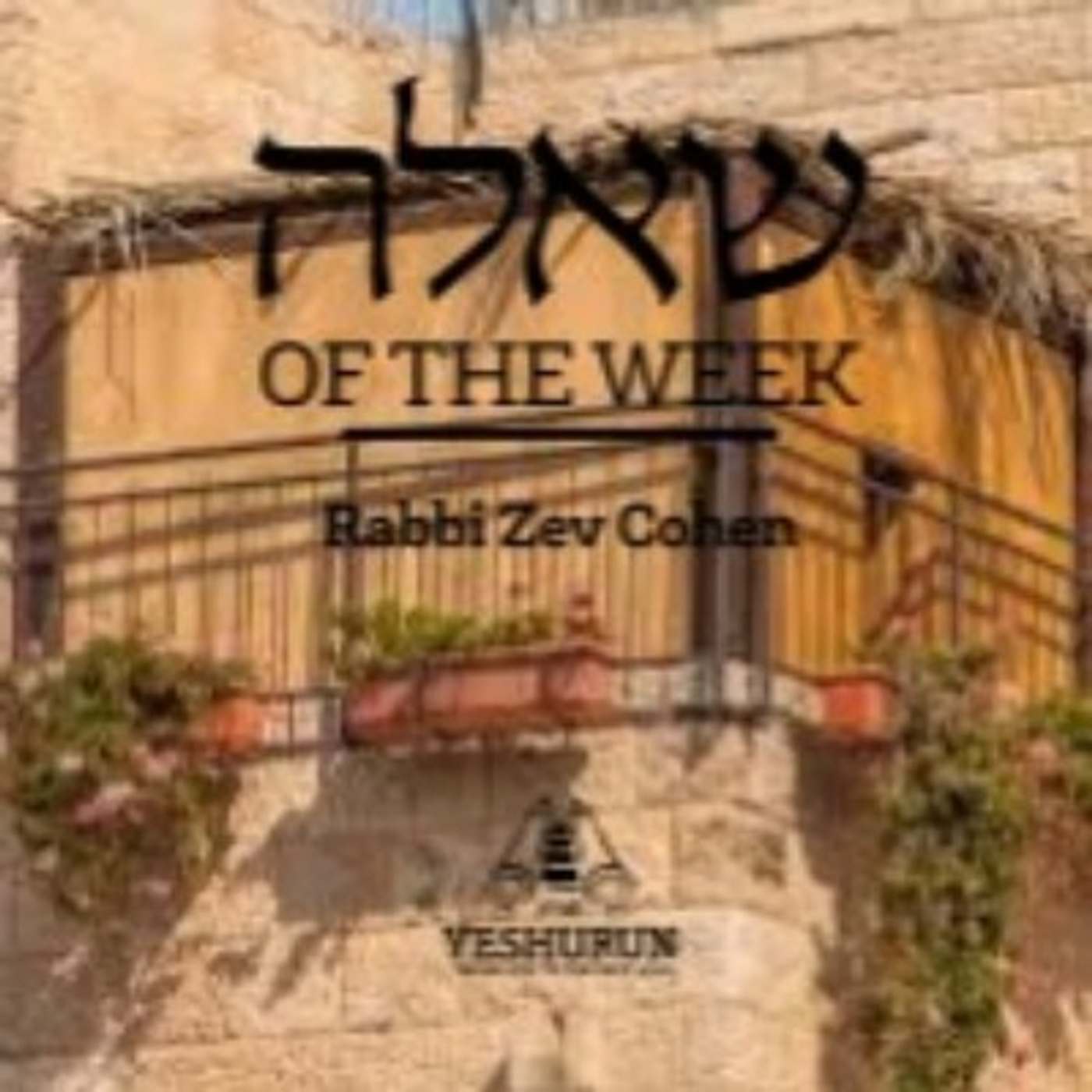 Shiur in New York - Din Bitol B'rov in Regards to Schach